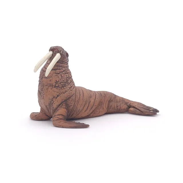 papo-marine-world-morse-figurine-animal-marin-arctique image 1