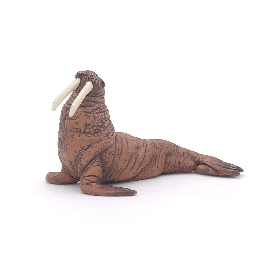 papo-marine-world-morse-figurine-animal-marin-arctique image 1
