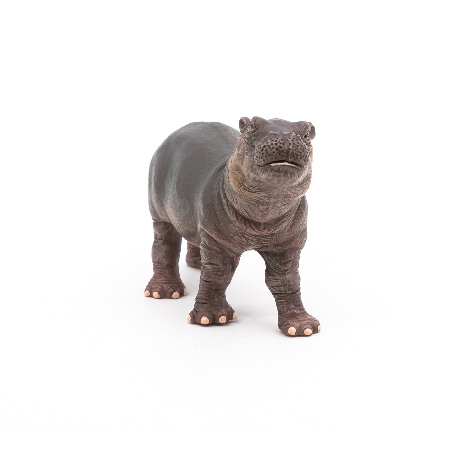 papo-wildlife-b-b-hippopotame-figurine-savane image 5