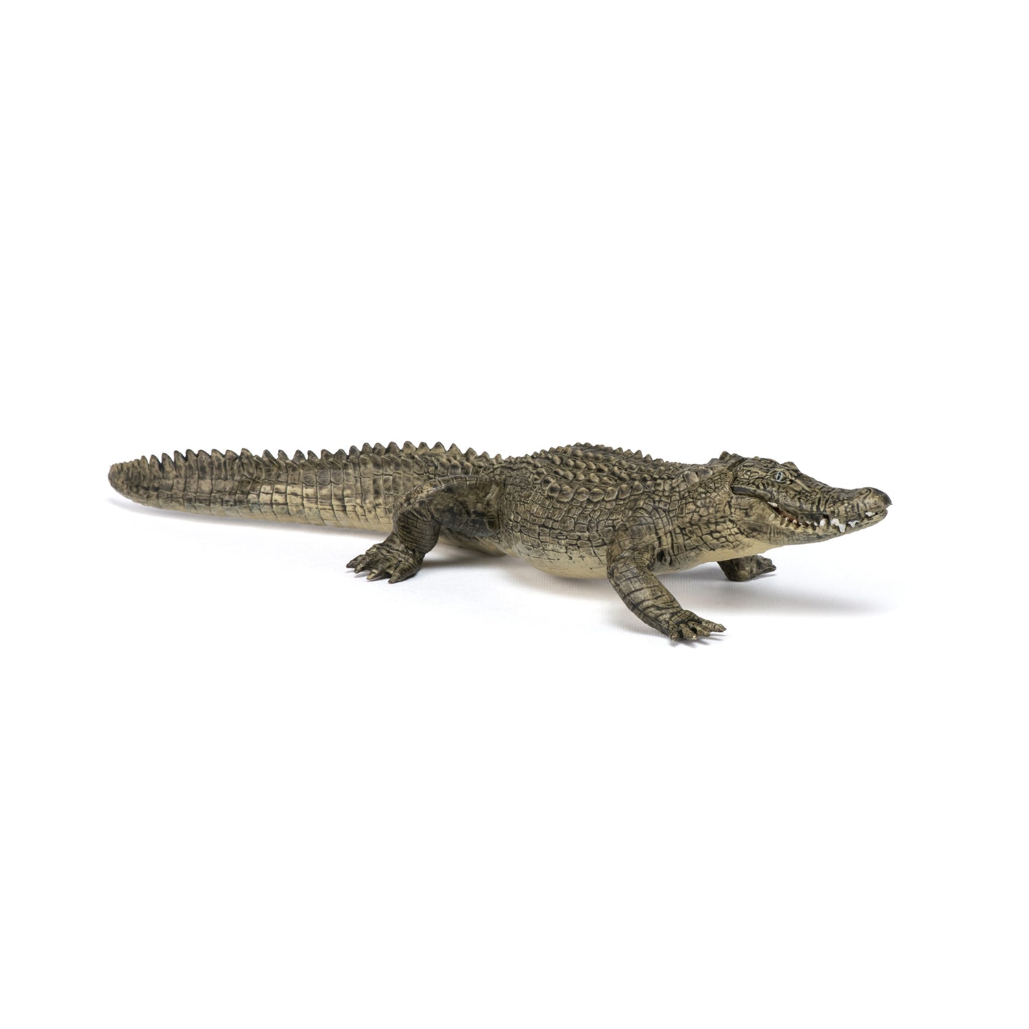 papo-wildlife-figurine-alligator-reptile-marais image 4