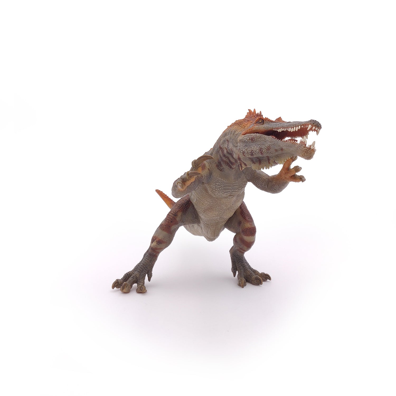 papo-dinosaurs-baryonyx-figurine-dinosaure-carnivore-cr-tac image 8