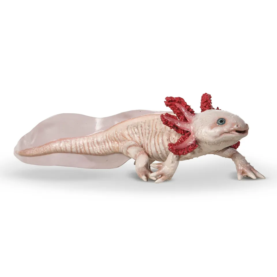 papo-wildlife-axolotl-figurine-amphibien-mexique image 1
