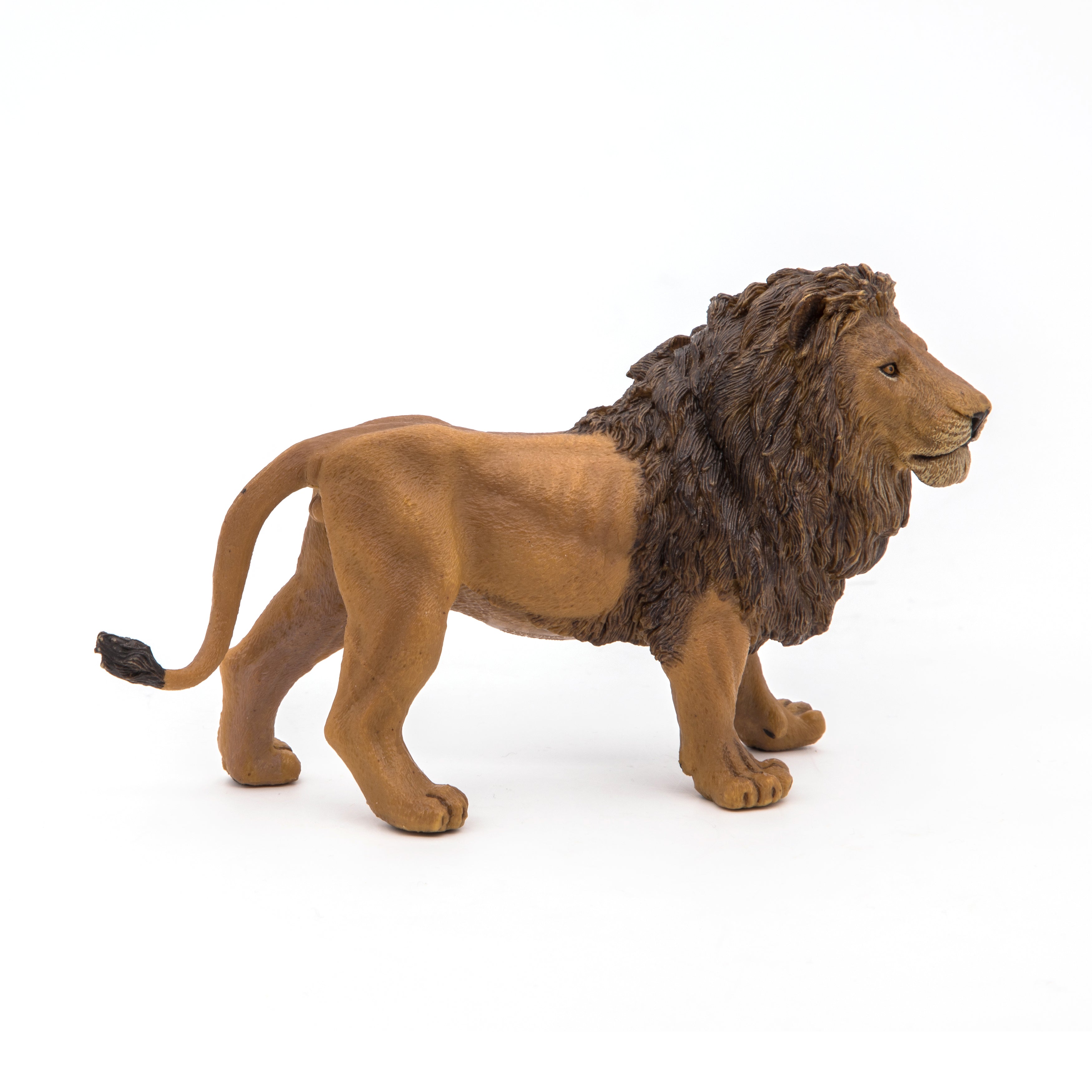 papo-wildlife-figurine-lion-m-le-crini-re image 8