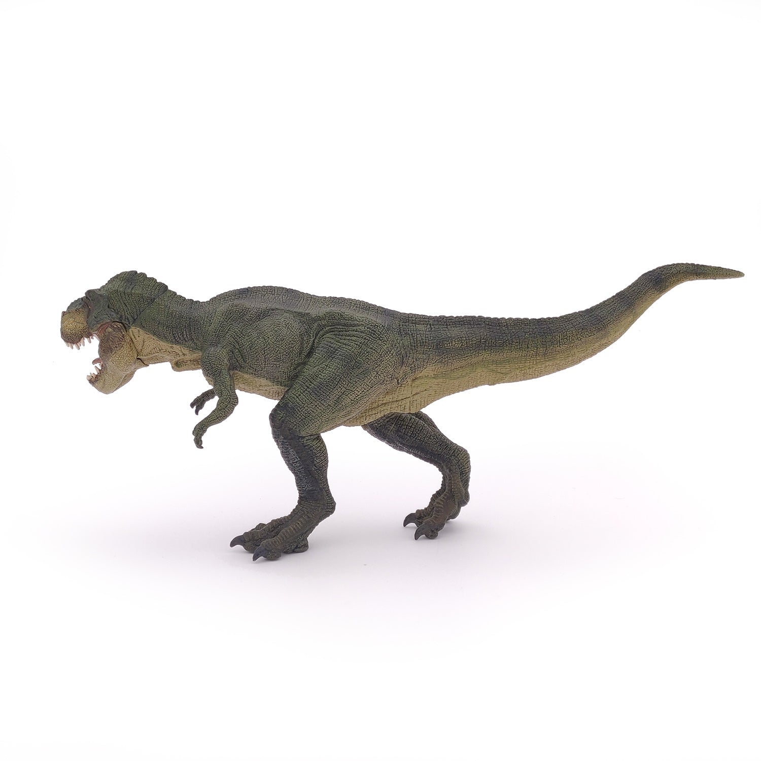 papo-dinosaurs-figurine-t-rex-courant-vert-m-choire-articul-e image 6