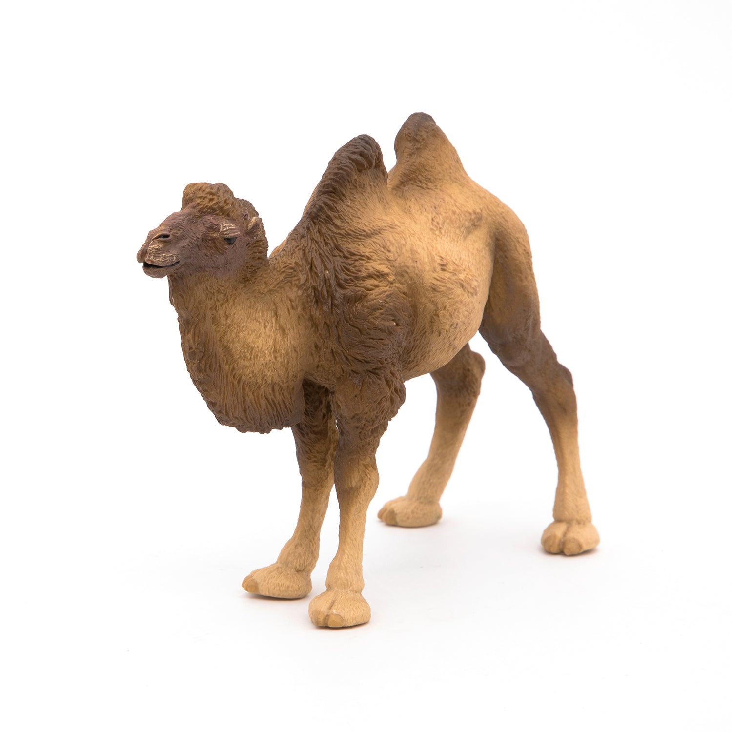 papo-wildlife-chameau-de-bactriane-figurine-d-sert image 6