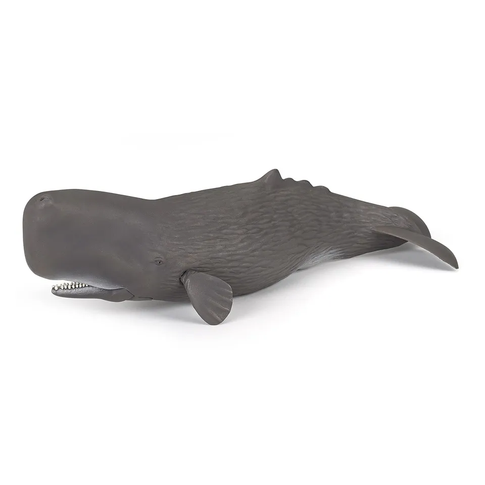 papo-marine-world-cachalot-figurine-animal-marin image 1