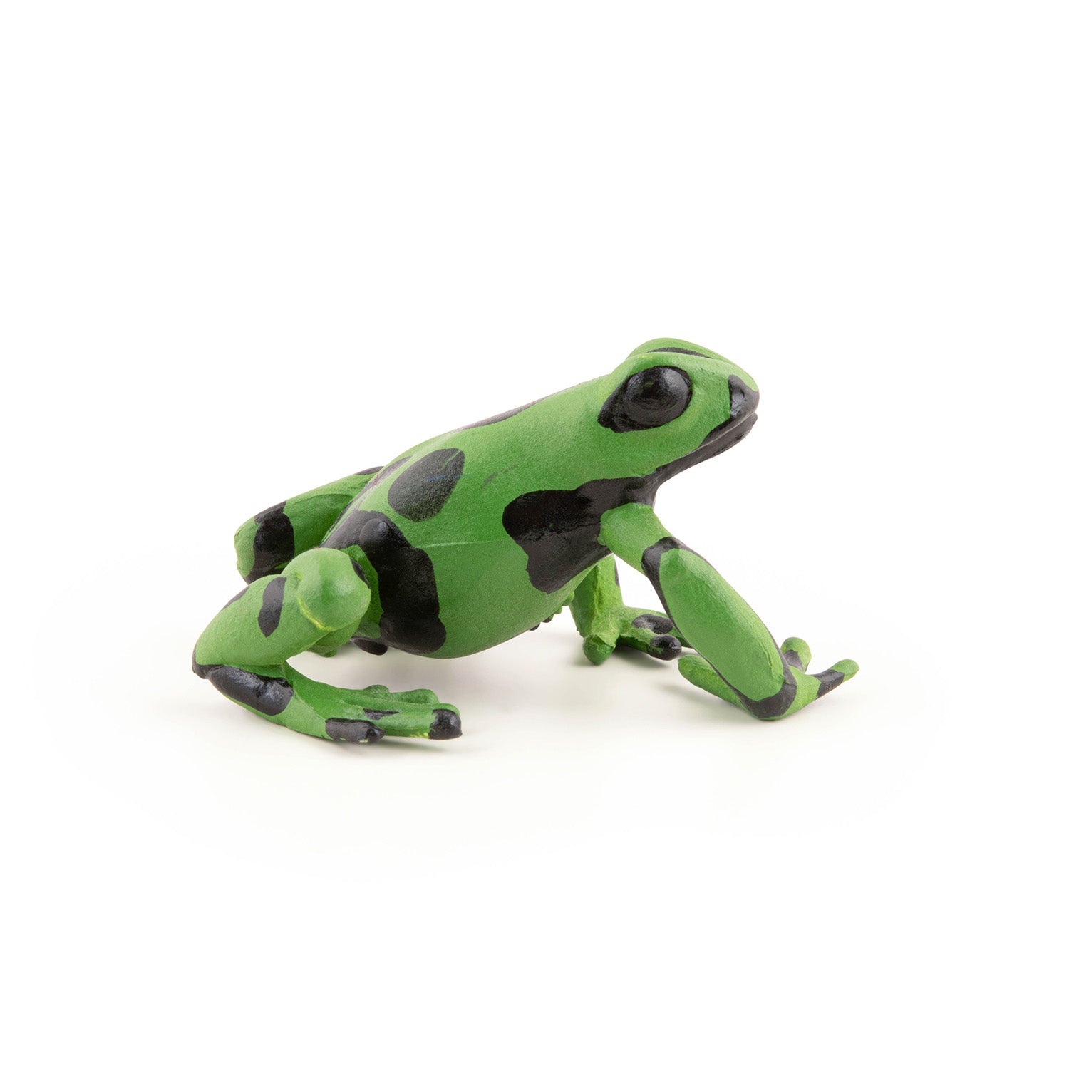 papo-wildlife-figurine-grenouille-quatoriale-verte image 5