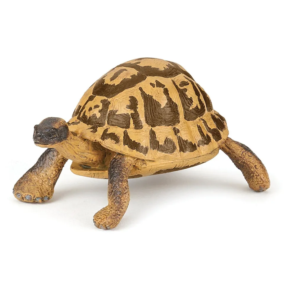 papo-wildlife-tortue-d-hermann-figurine-reptile image 1