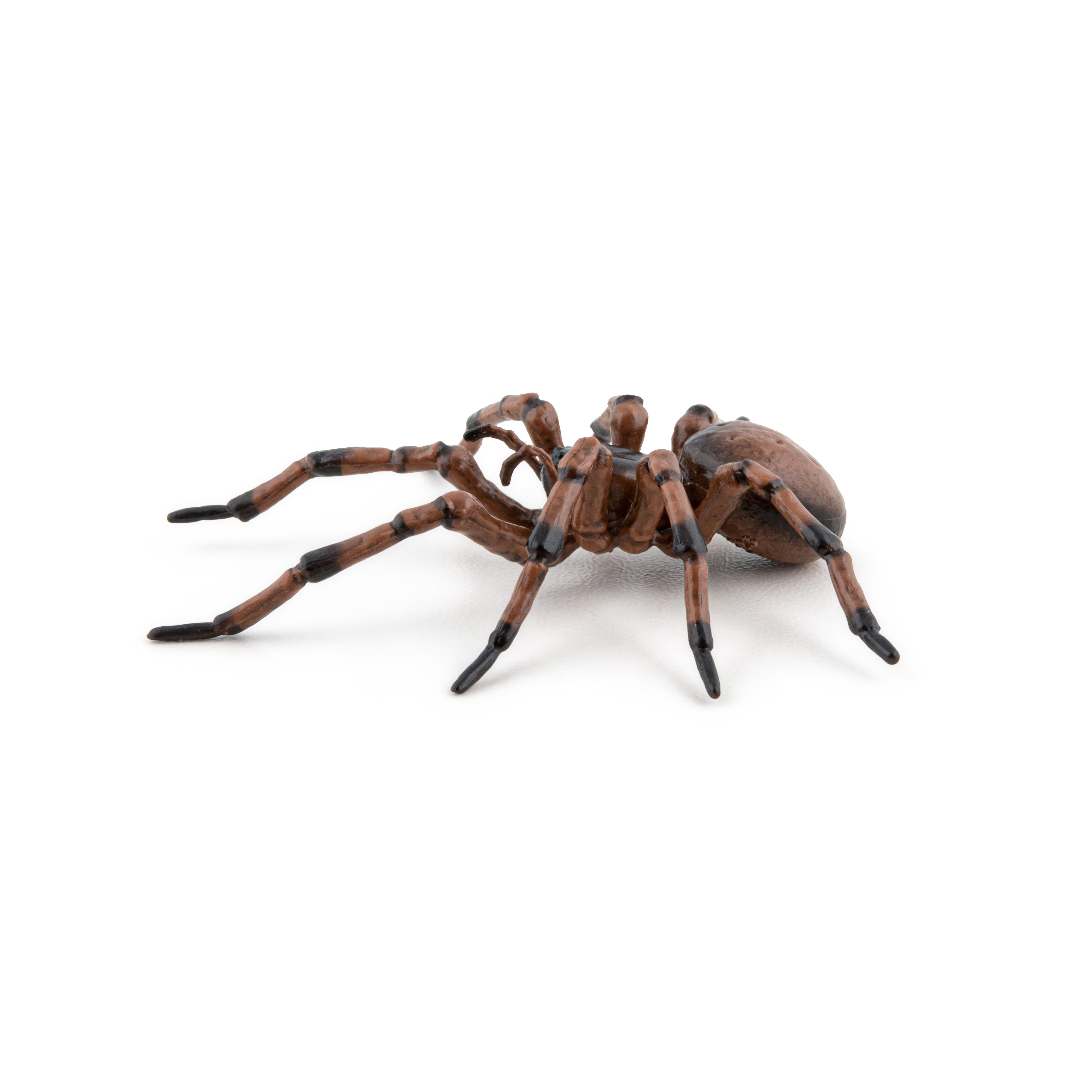 papo-garden-animals-araign-e-commune-figurine-insecte-jardin image 7