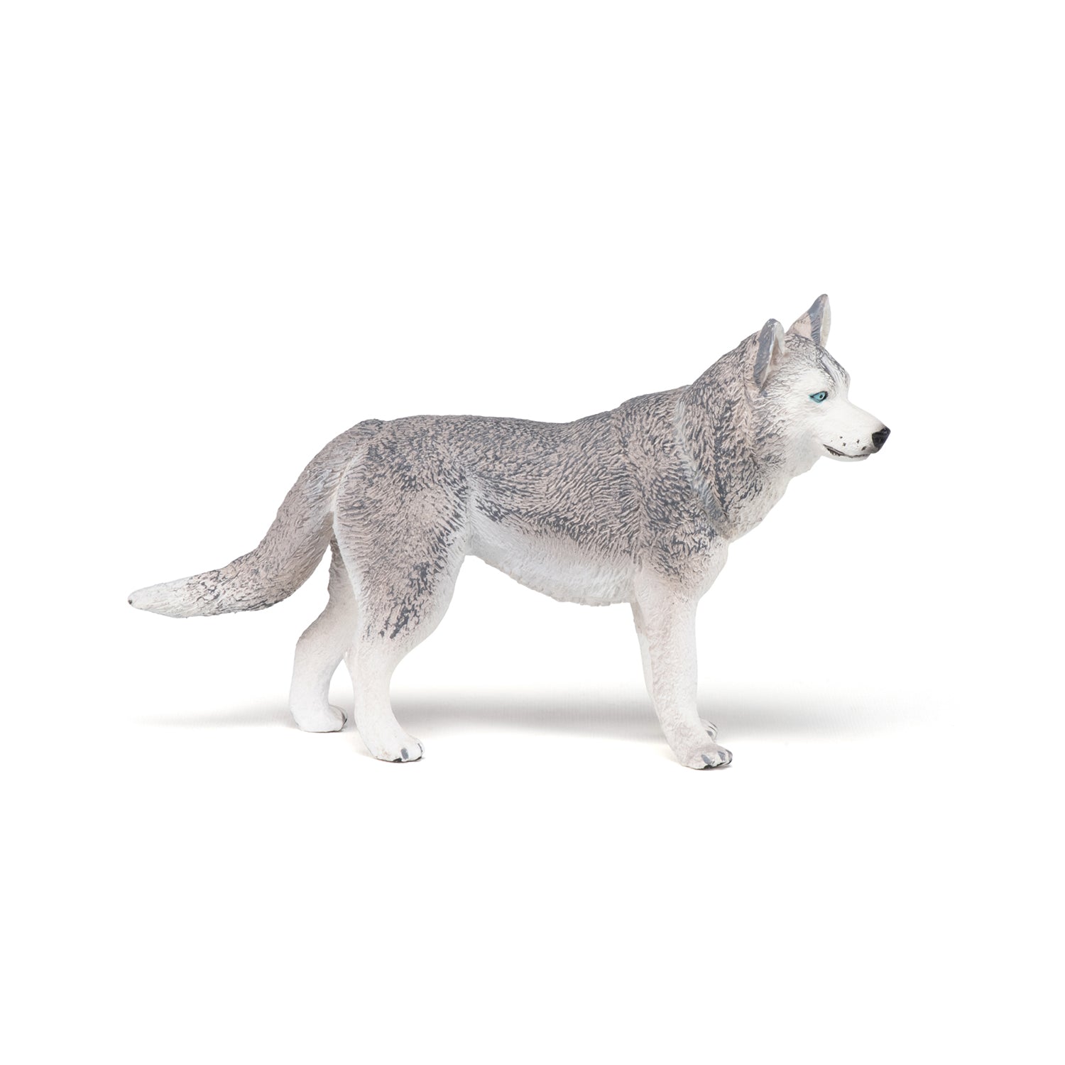 papo-dogs-cats-husky-de-sib-rie-figurine-chien-nordique image 6