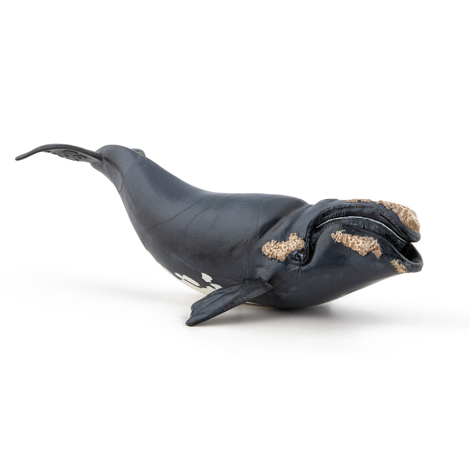 papo-marine-world-baleine-franche-figurine-c-tac-plancton image 4