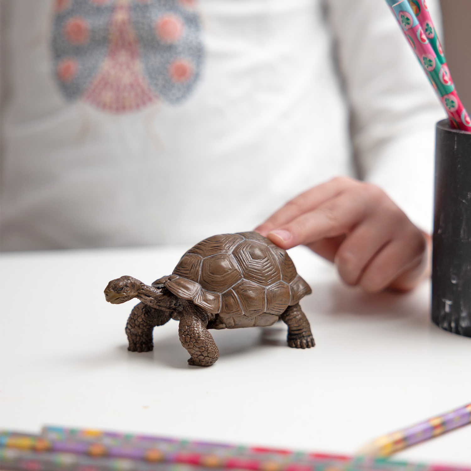 papo-wildlife-tortue-des-galapagos-figurine-reptile-g-ante image 2