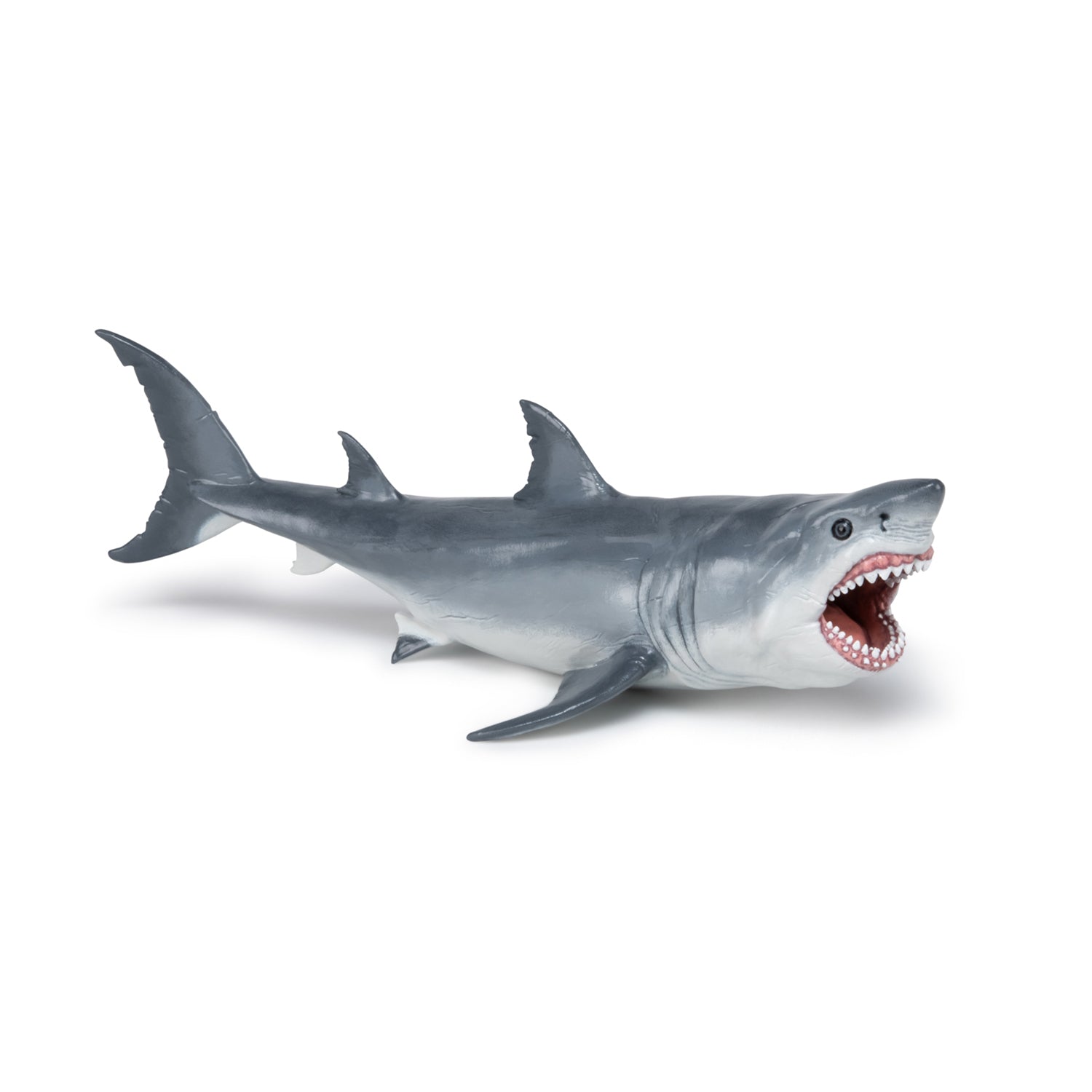 papo-dinosaurs-figurine-m-galodon-requin-pr-historique-g-ant image 3