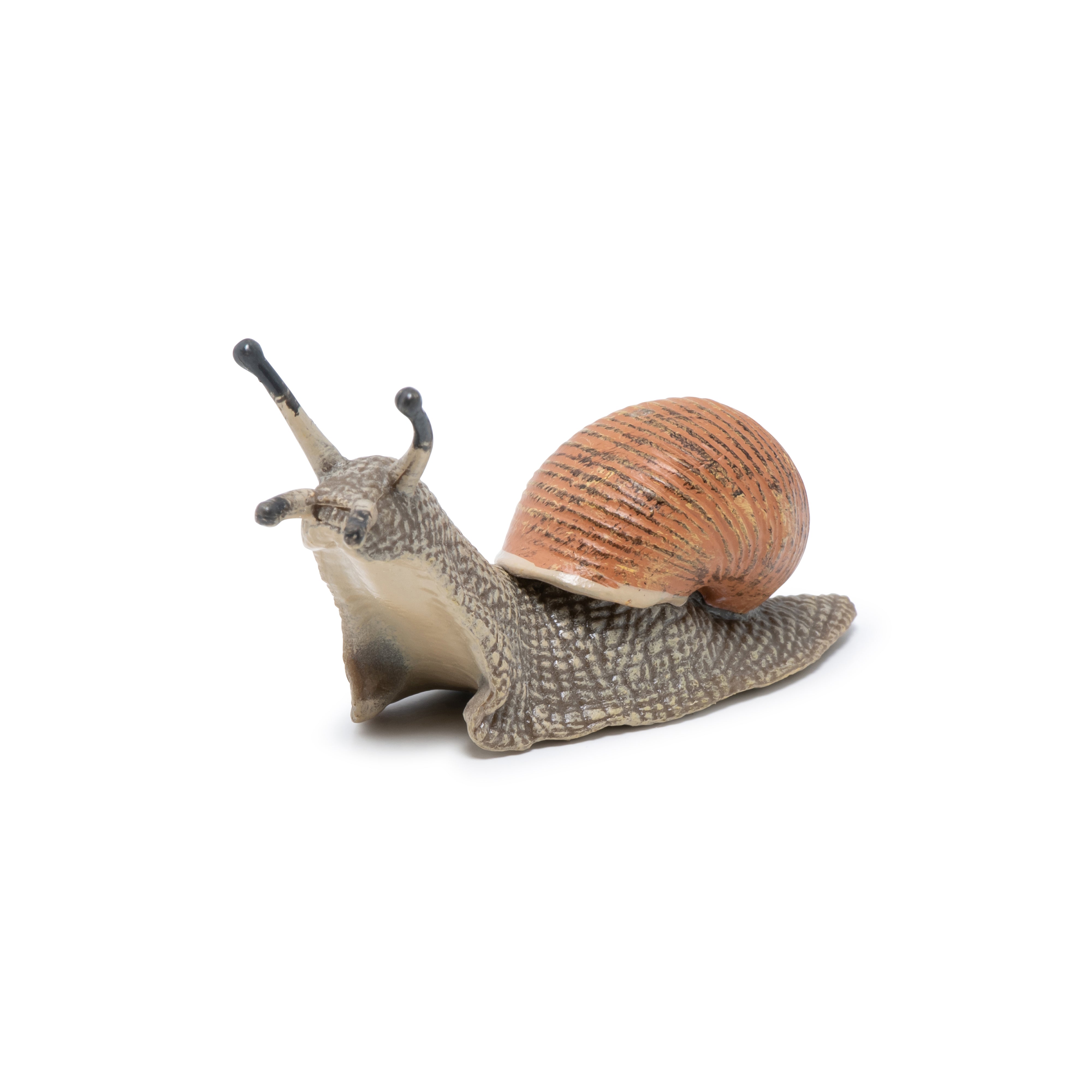 papo-garden-animals-figurine-escargot-coquille-lisse image 6