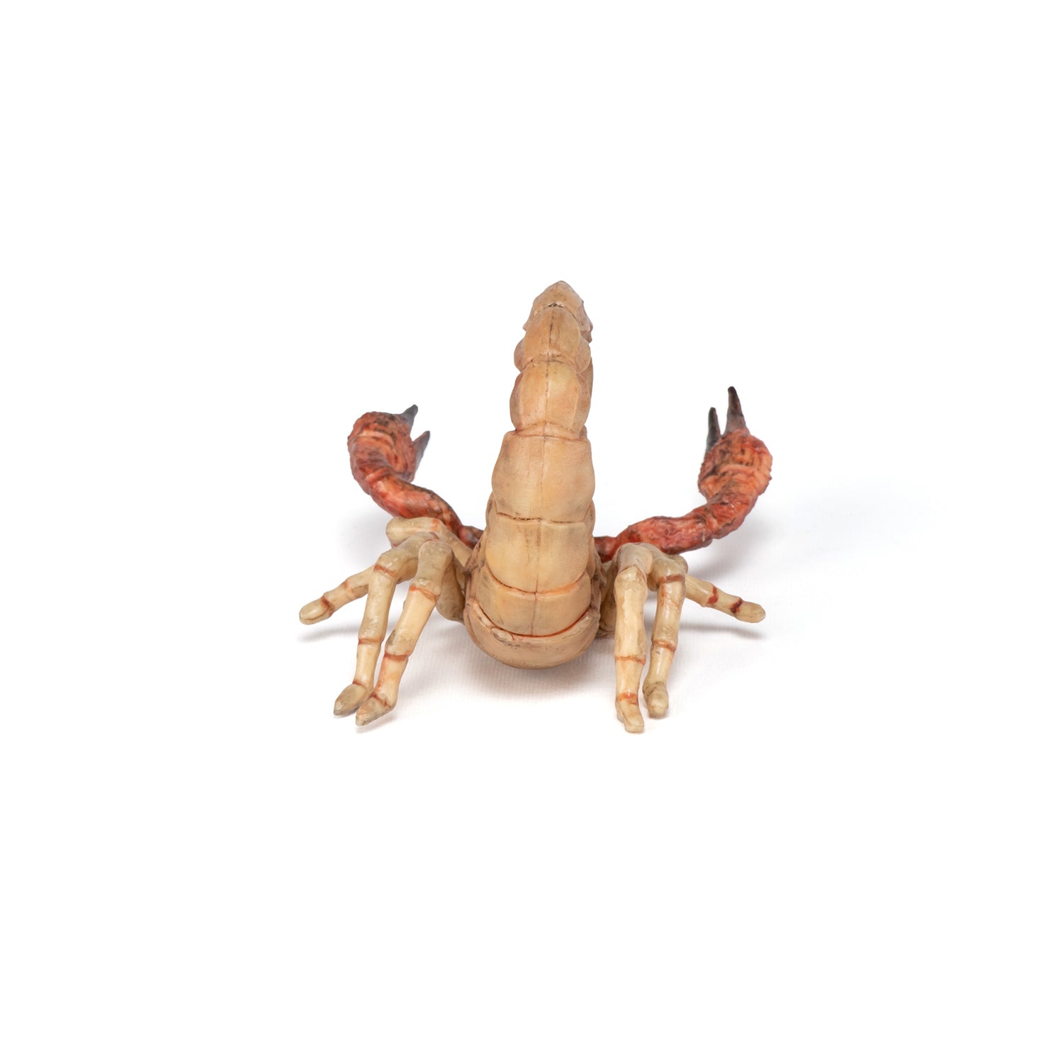 papo-wildlife-scorpion-figurine-animal-sauvage-d-sert image 5