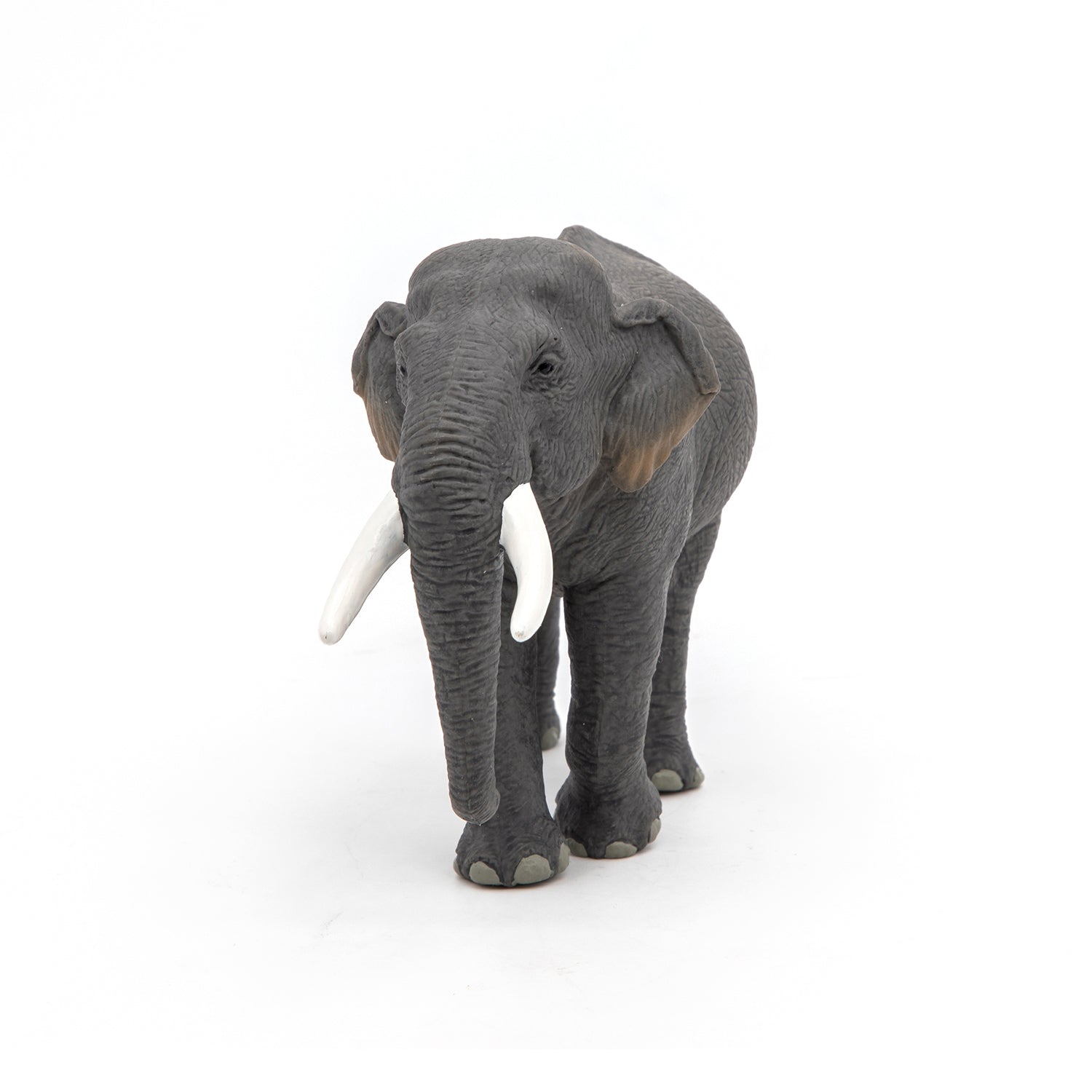 papo-wildlife-el-phant-d-asie-figurine-savane-trompe image 4