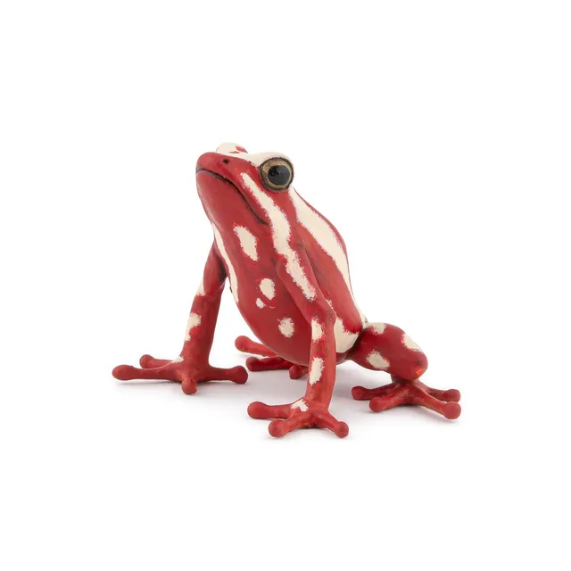 papo-wildlife-figurine-grenouille-fl-che-tricolore image 1