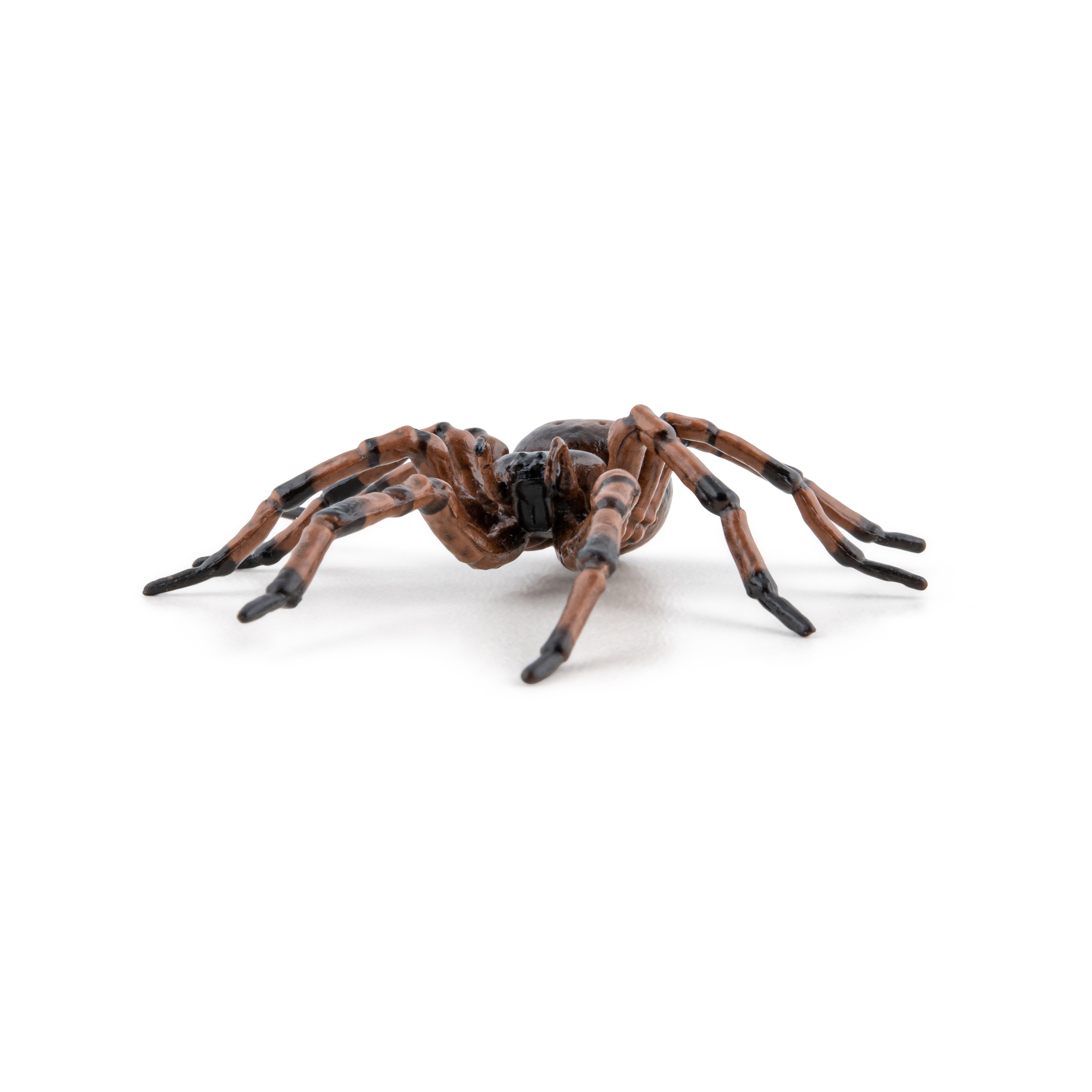 papo-garden-animals-araign-e-commune-figurine-insecte-jardin image 3