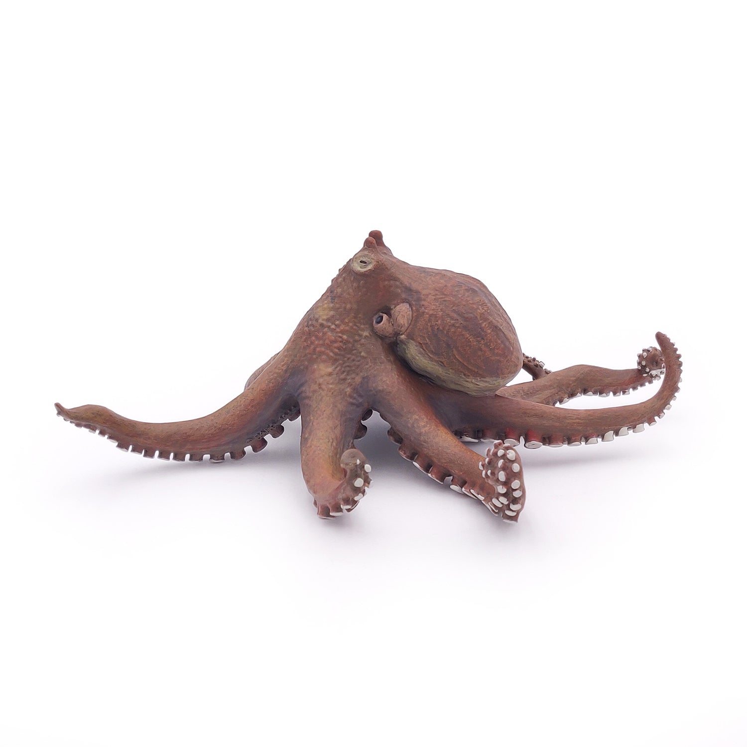 papo-marine-world-pieuvre-figurine-marine-8-bras image 4