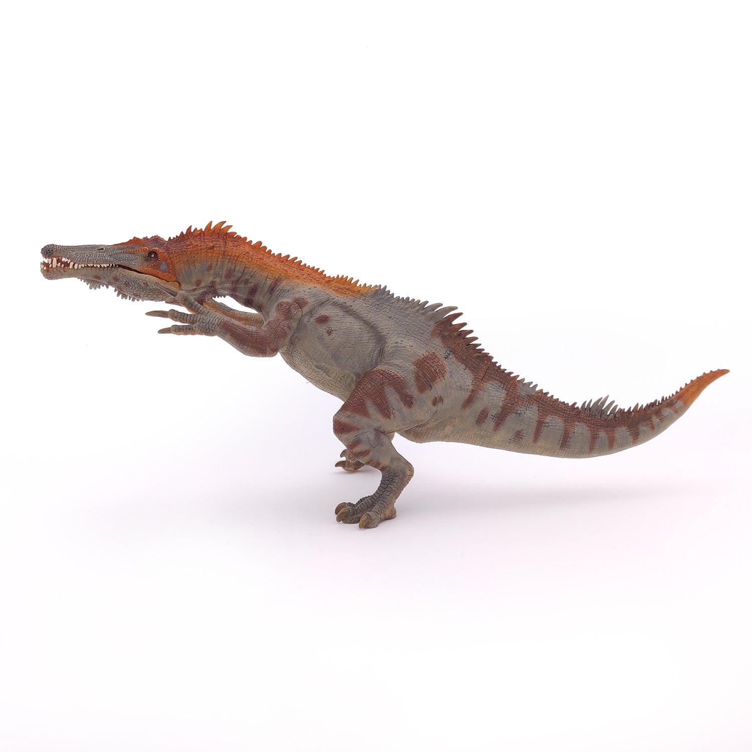 papo-dinosaurs-baryonyx-figurine-dinosaure-carnivore-cr-tac image 6