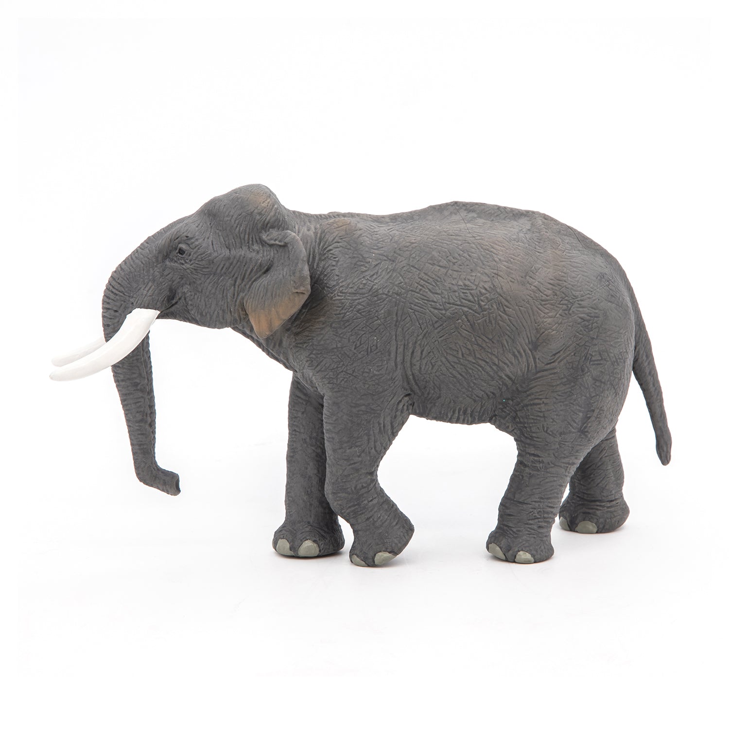 papo-wildlife-el-phant-d-asie-figurine-savane-trompe image 7