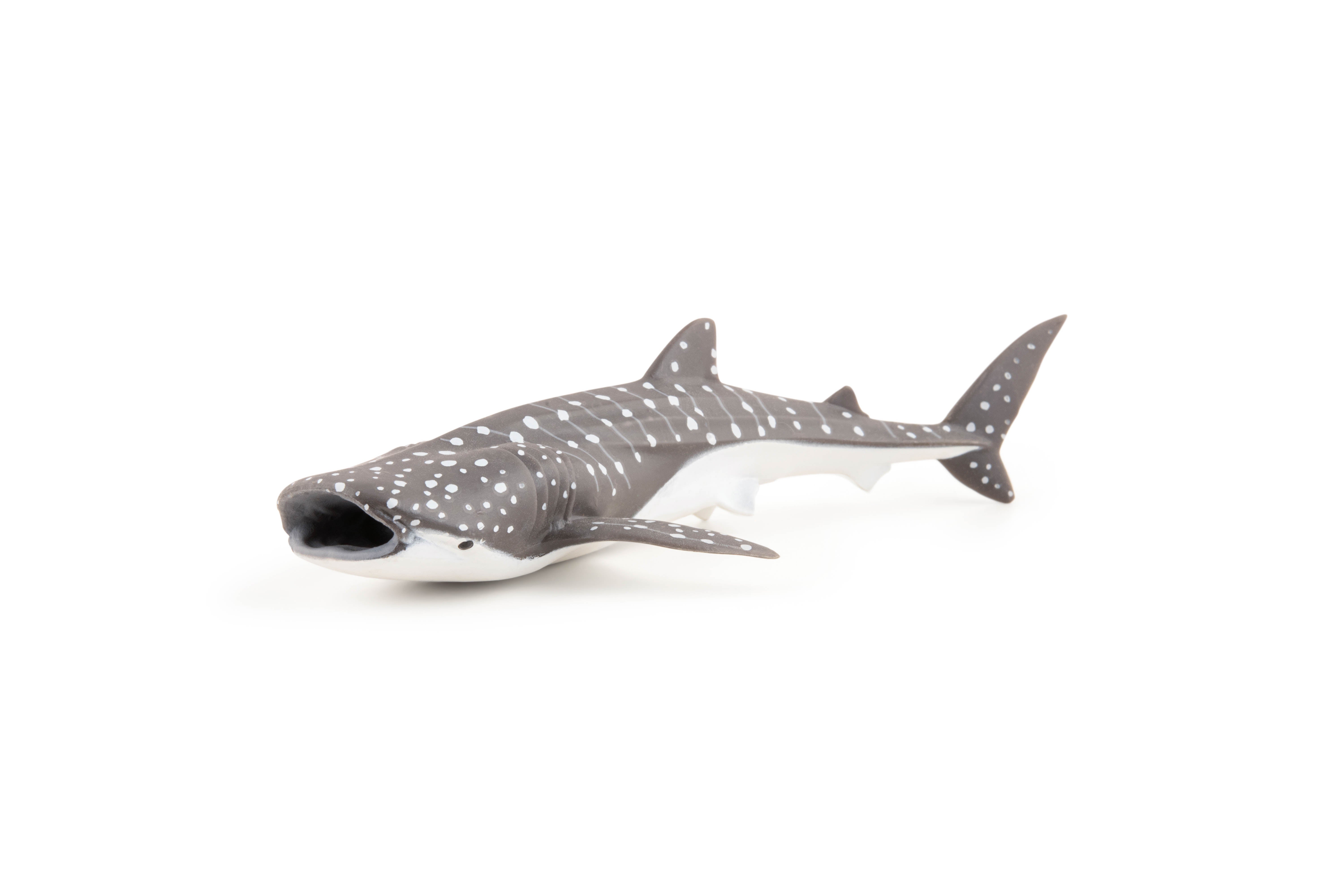 papo-marine-world-jeune-requin-baleine-figurine-bleu-tachet image 3