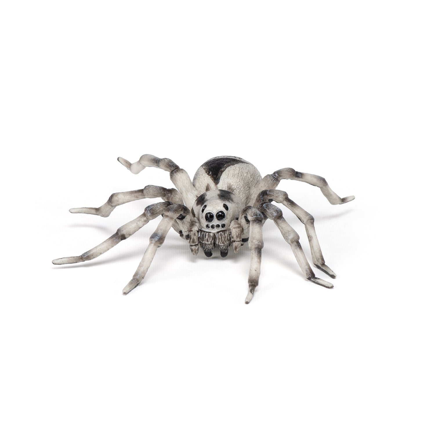 papo-wildlife-tarentule-figurine-araign-e-velue image 1