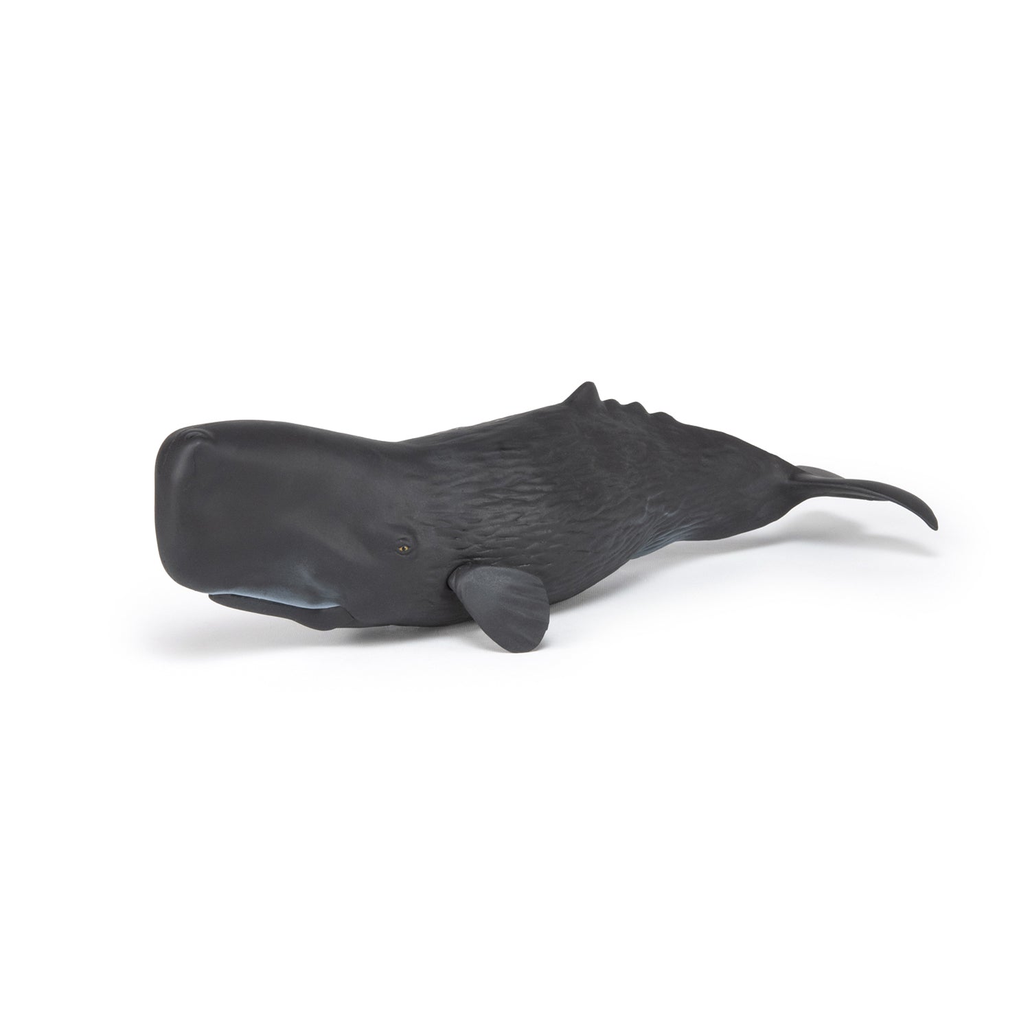 papo-marine-world-cachalot-figurine-animal-marin image 3