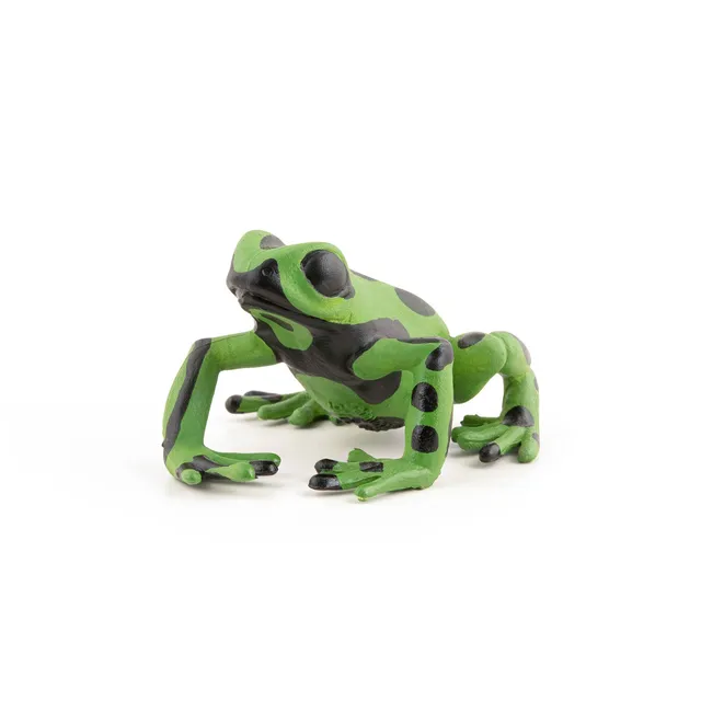 papo-wildlife-figurine-grenouille-quatoriale-verte image 1