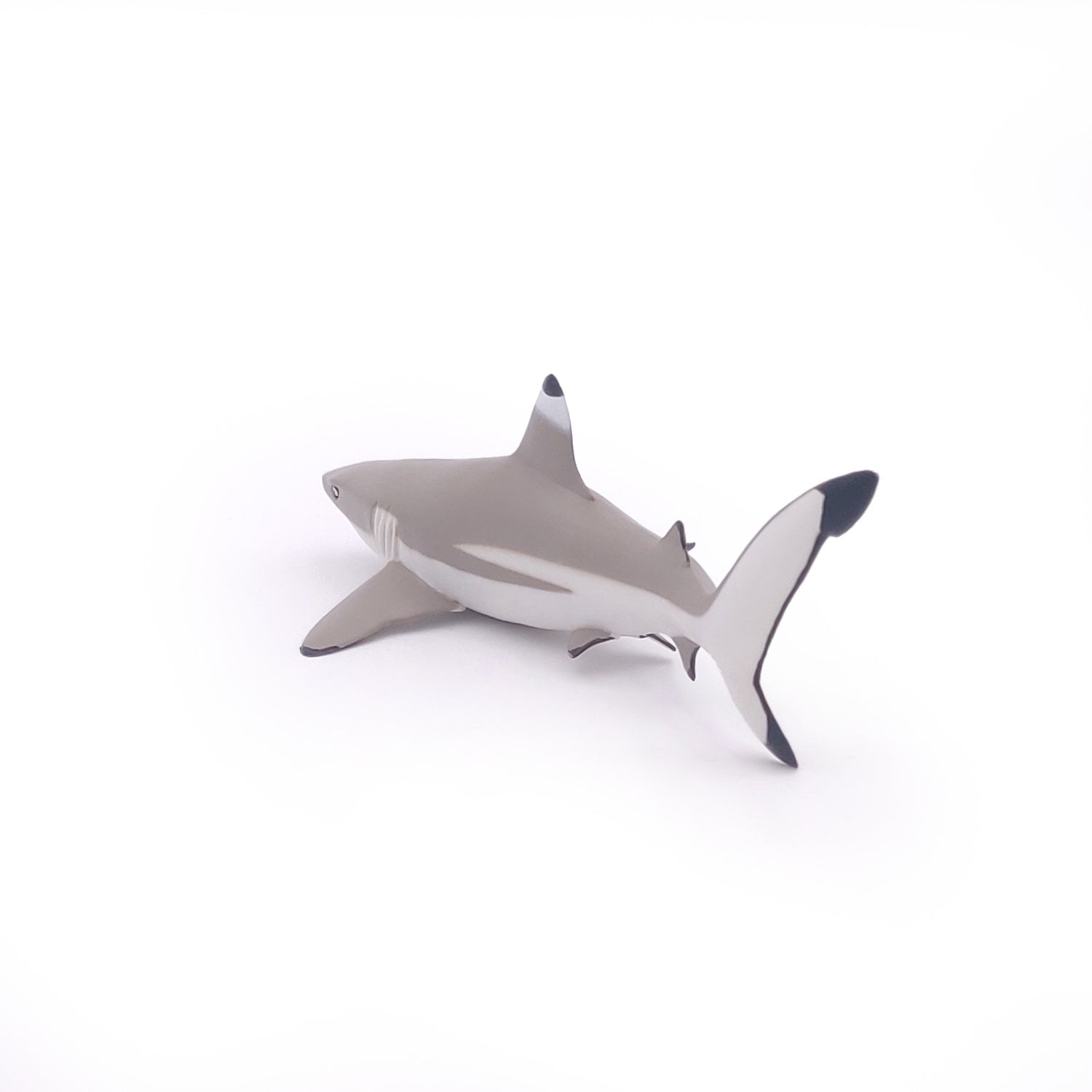 papo-marine-world-requin-pointes-noires-figurine-mer image 8