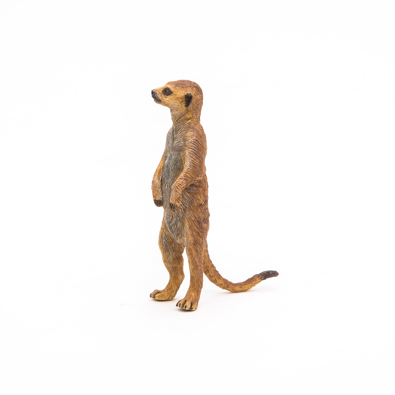 papo-wildlife-figurine-suricate-debout-animal-savane image 5