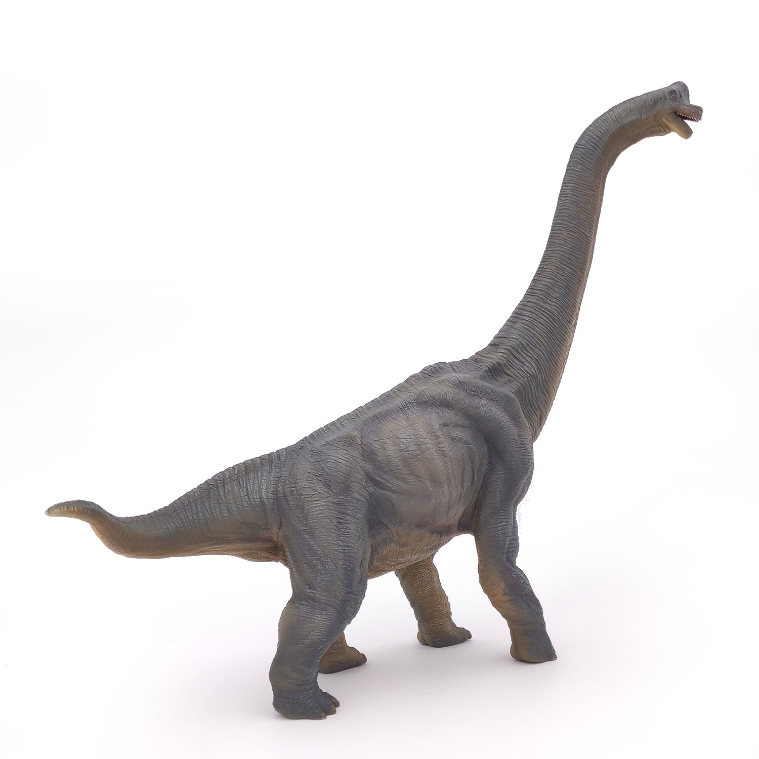papo-dinosaurs-brachiosaure-figurine-dinosaure-herbivore-jurassique image 2