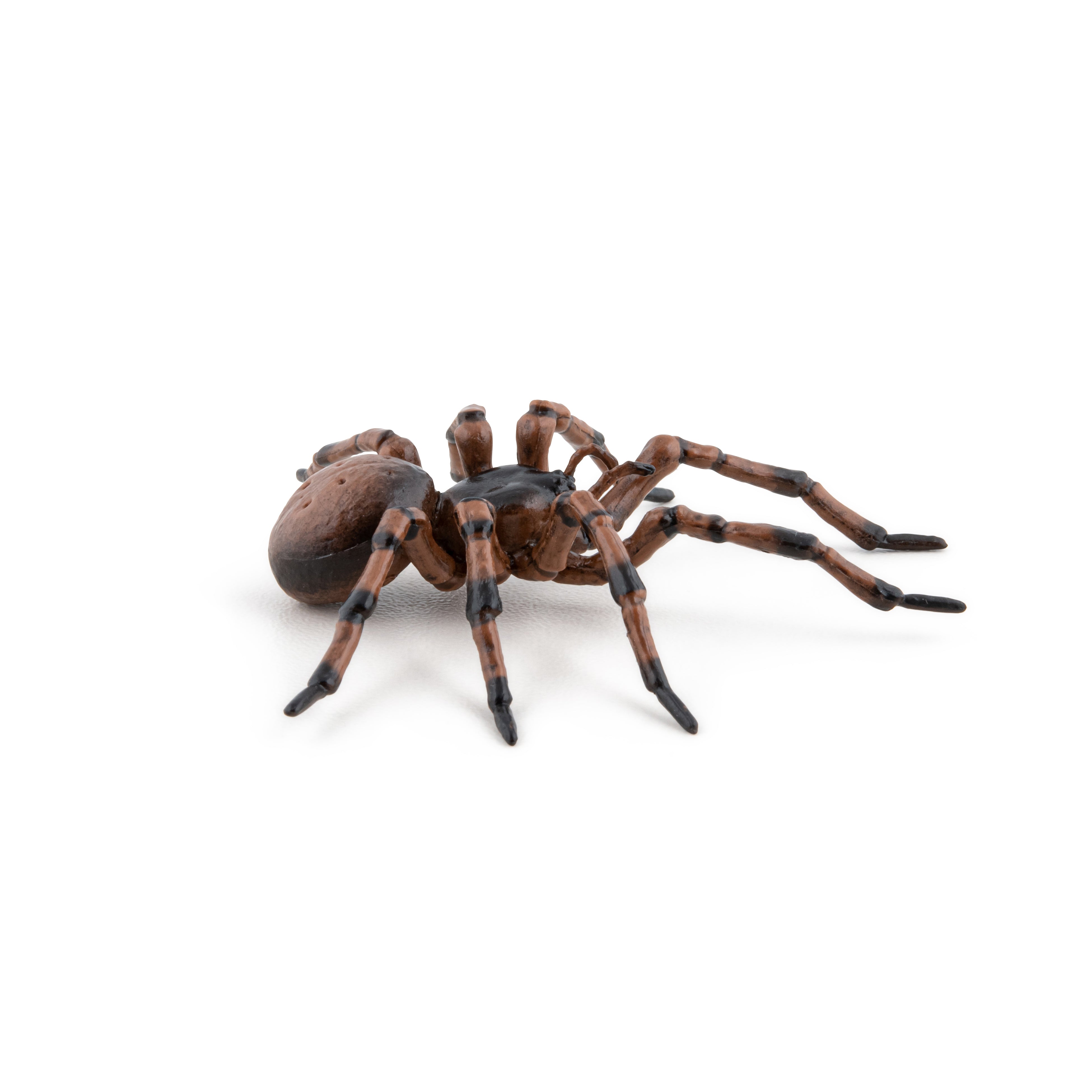 papo-garden-animals-araign-e-commune-figurine-insecte-jardin image 6