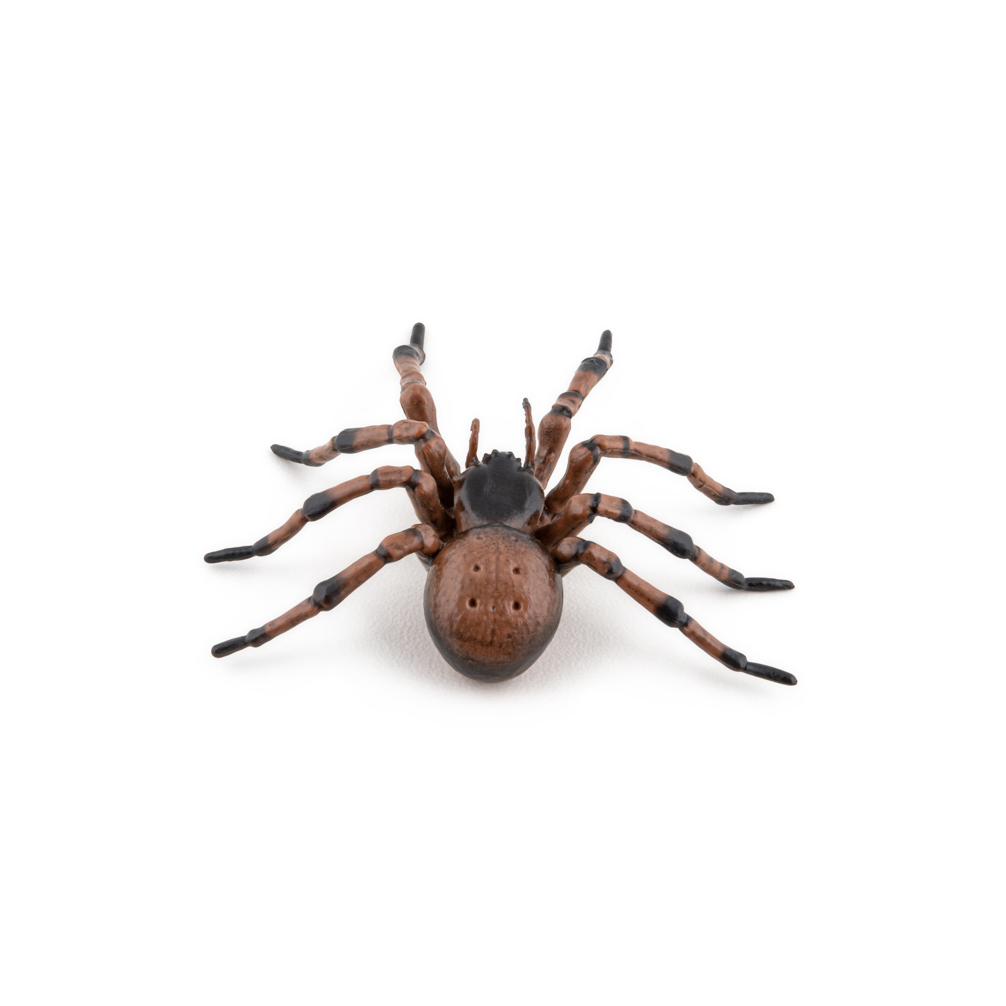 papo-garden-animals-araign-e-commune-figurine-insecte-jardin image 2