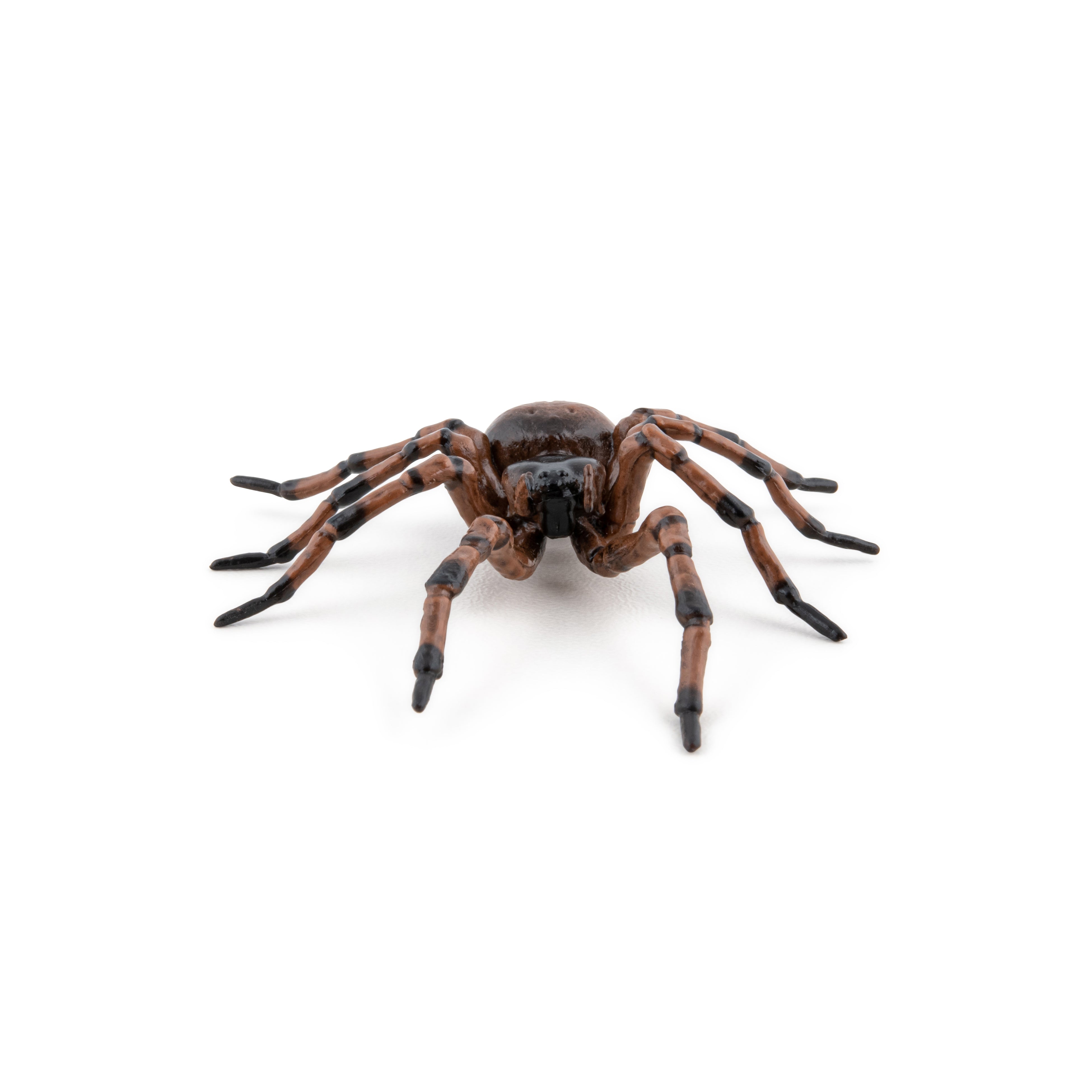 papo-garden-animals-araign-e-commune-figurine-insecte-jardin image 4
