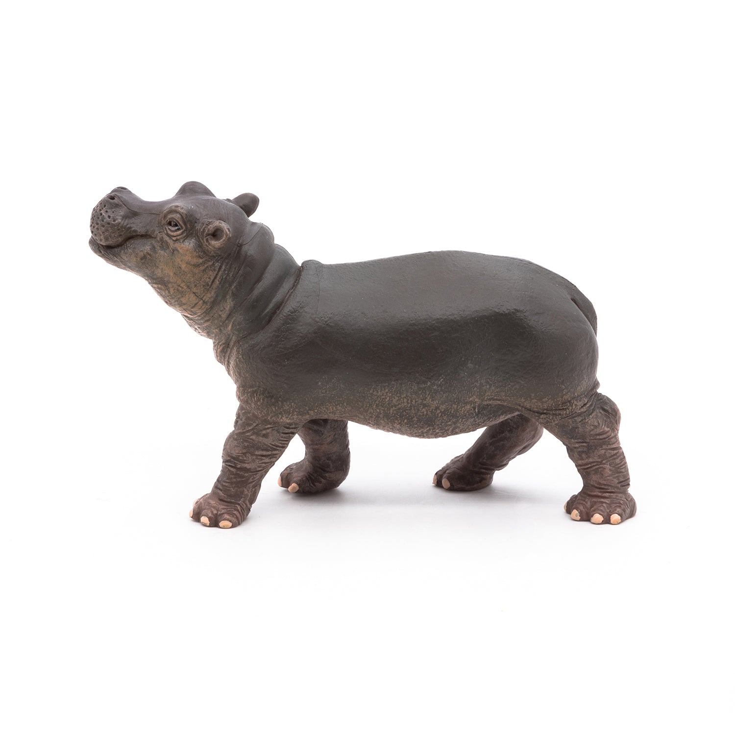 papo-wildlife-b-b-hippopotame-figurine-savane image 8
