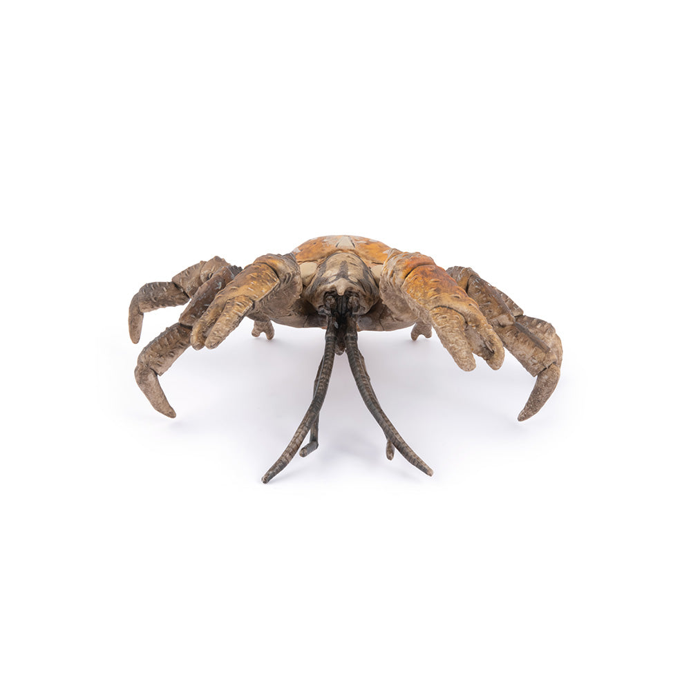 papo-marine-world-crabe-de-cocotier-figurine-peinte-main image 5