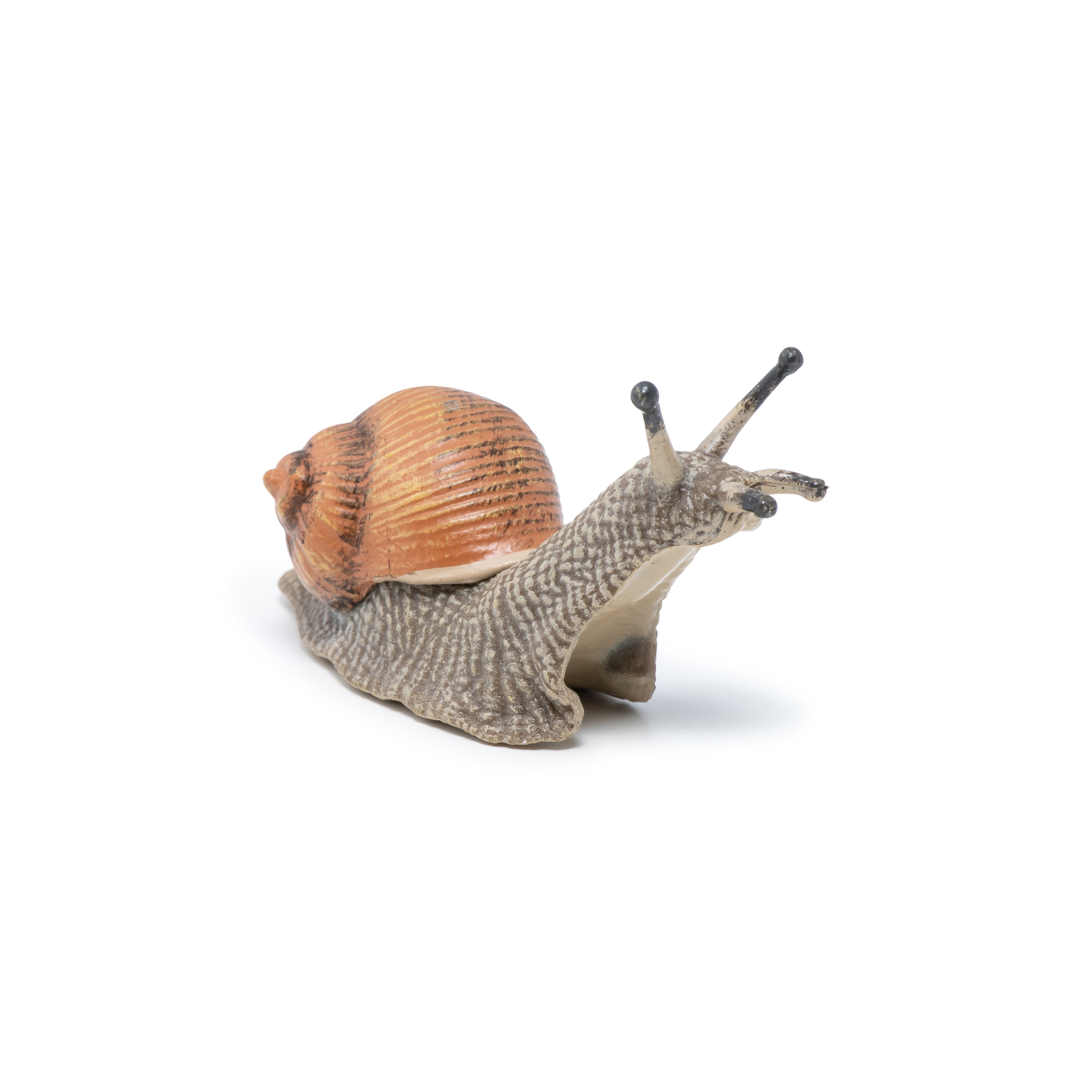 papo-garden-animals-figurine-escargot-coquille-lisse image 4