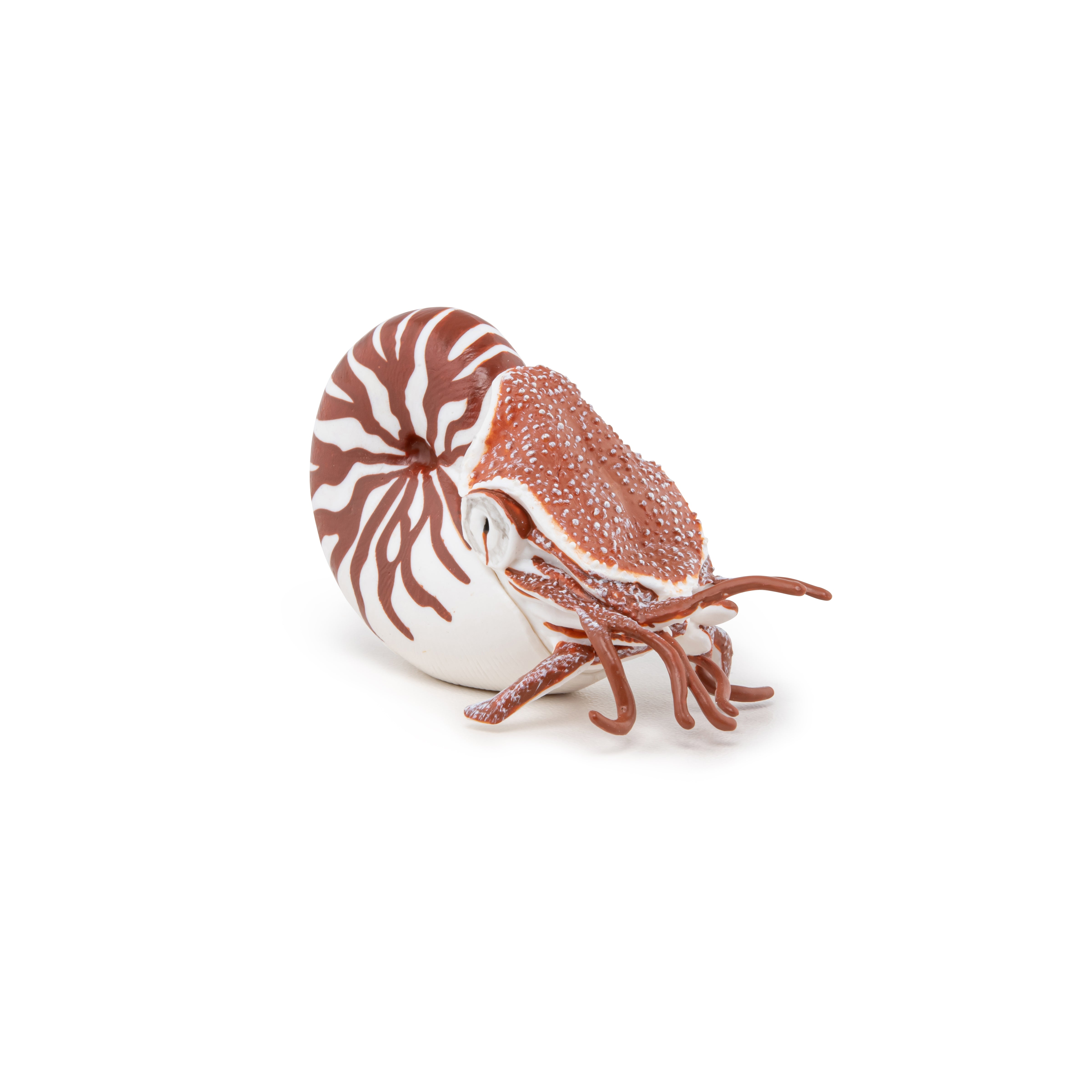papo-marine-world-nautile-figurine-coquille-spiral-e image 5