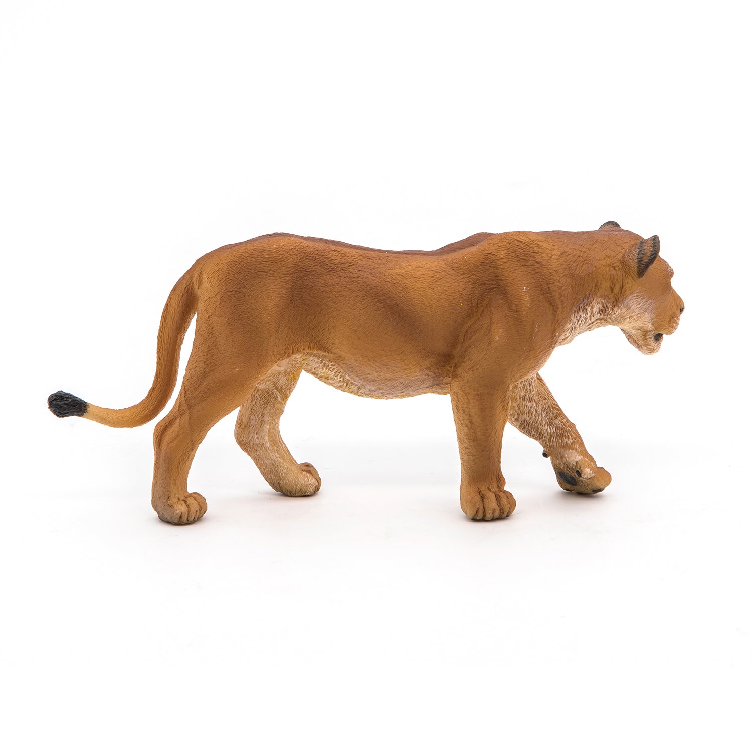 papo-wildlife-lionne-figurine-savane-f-lin image 6
