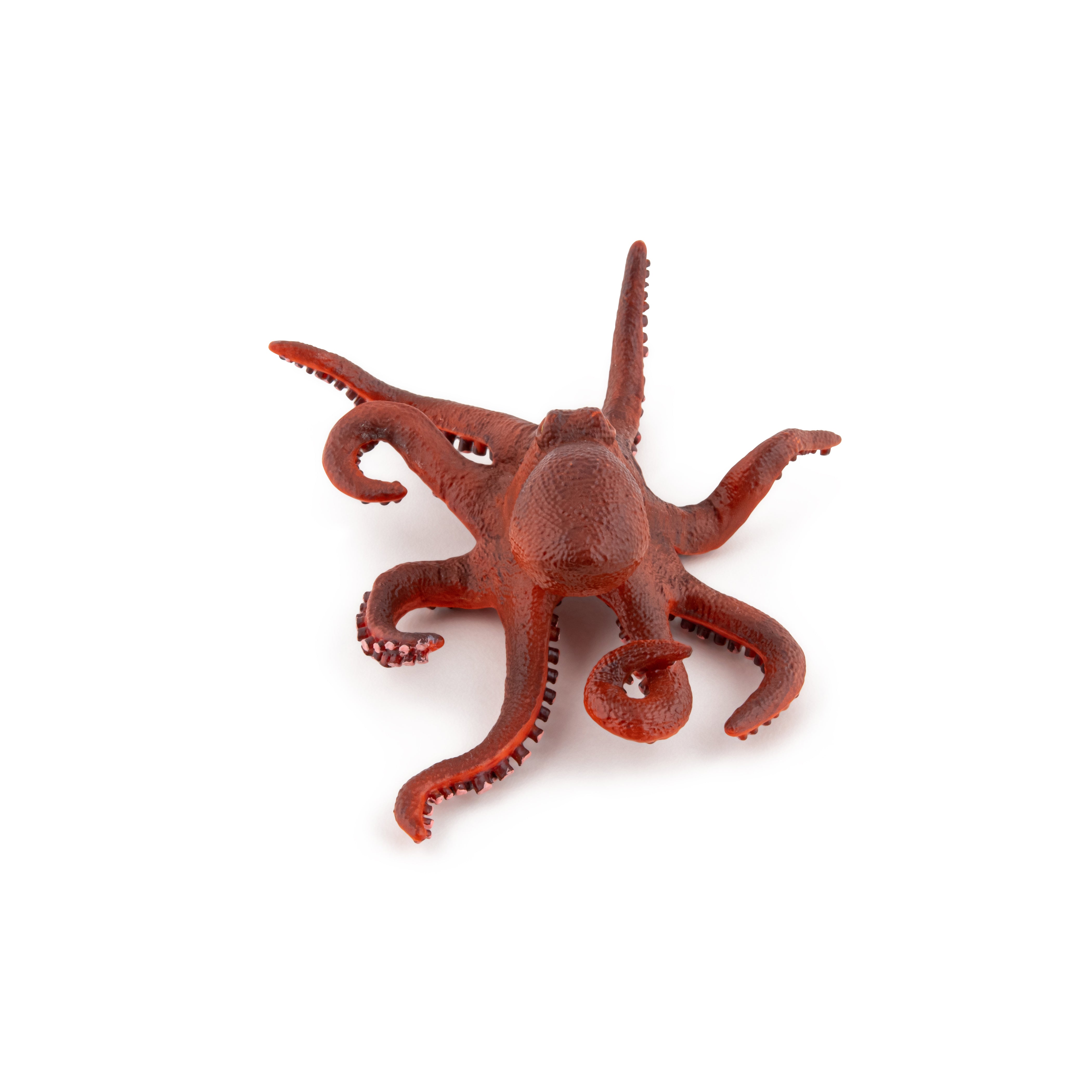 papo-marine-world-figurine-petite-pieuvre-animal-marin image 4