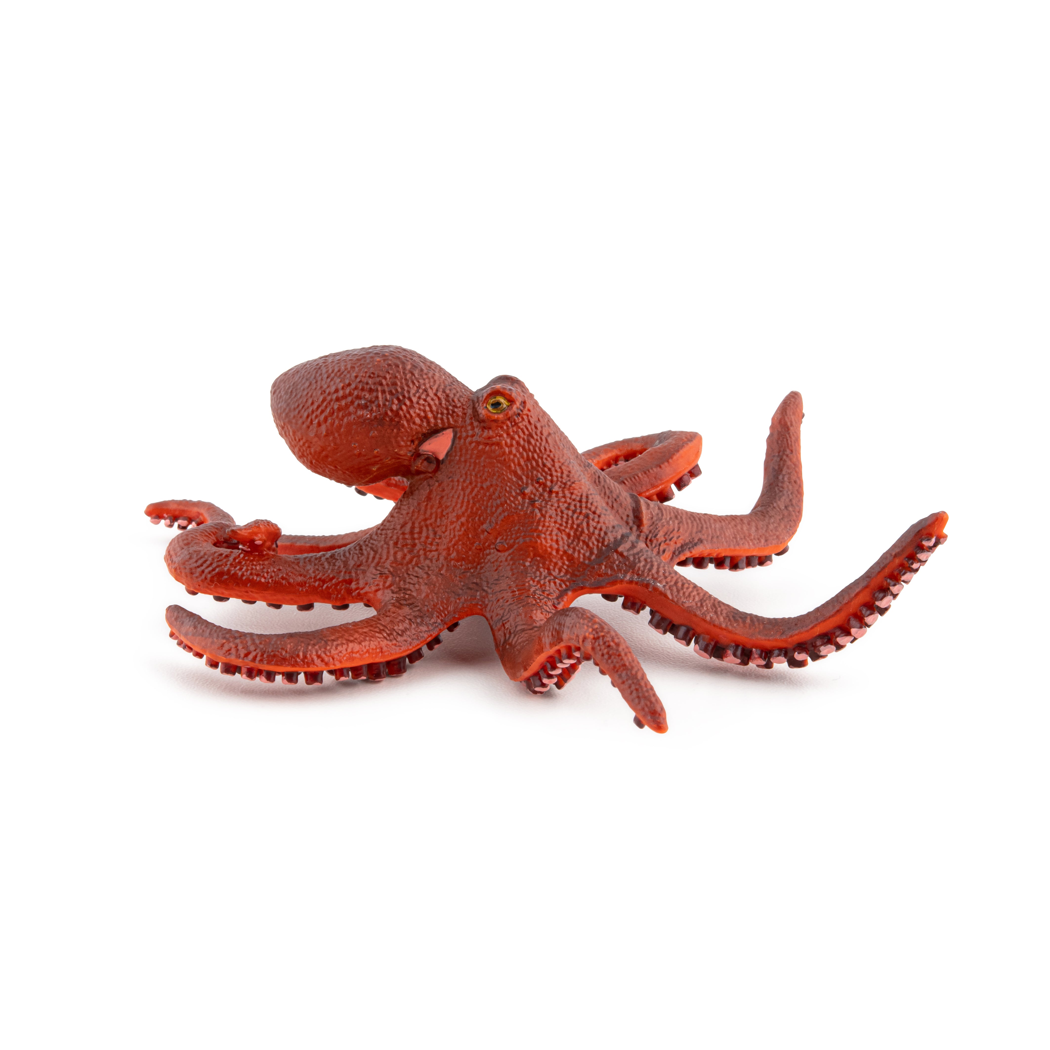 papo-marine-world-figurine-petite-pieuvre-animal-marin image 2