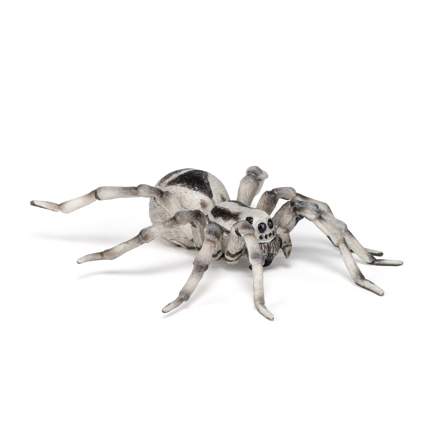 papo-wildlife-tarentule-figurine-araign-e-velue image 6