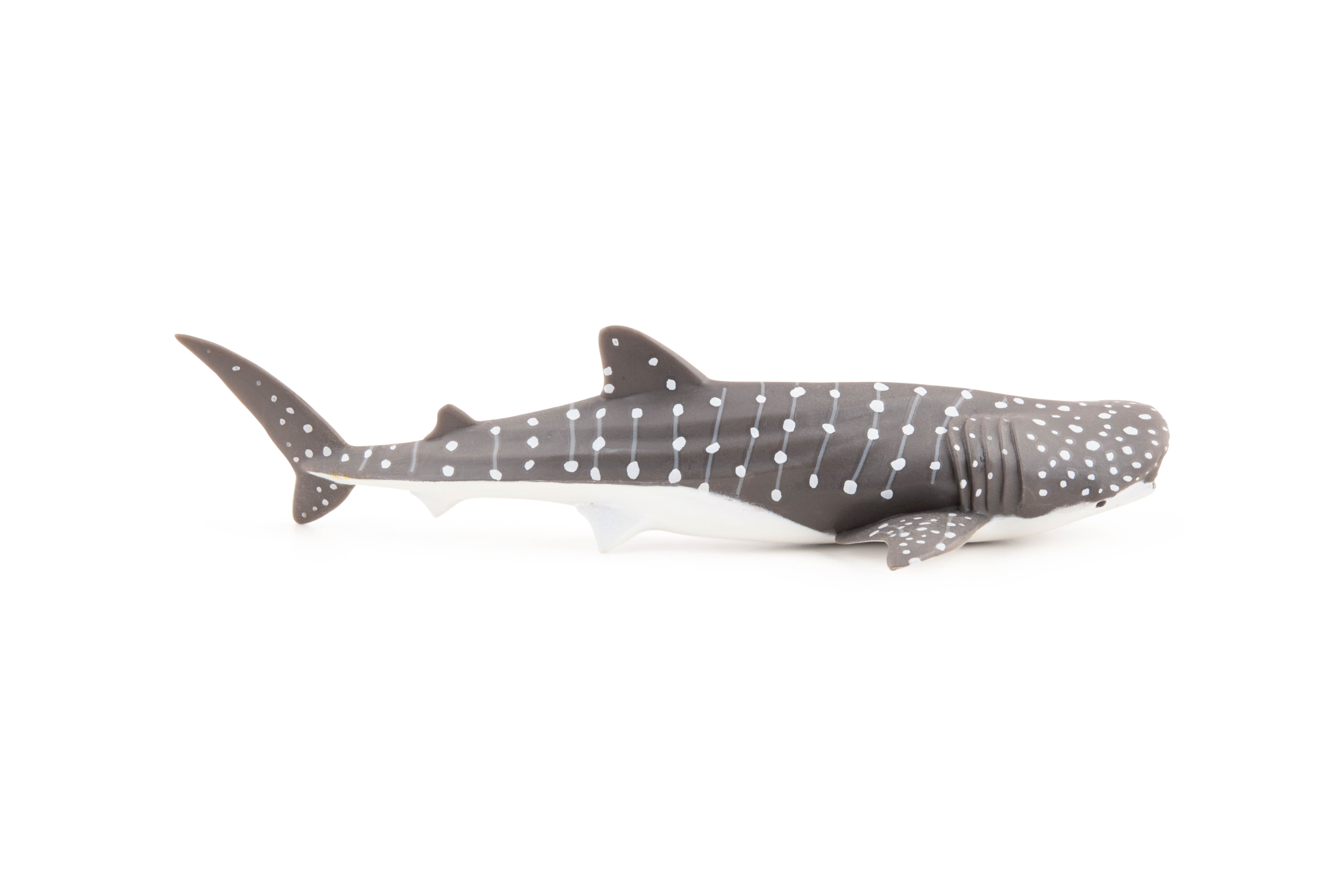 papo-marine-world-jeune-requin-baleine-figurine-bleu-tachet image 6