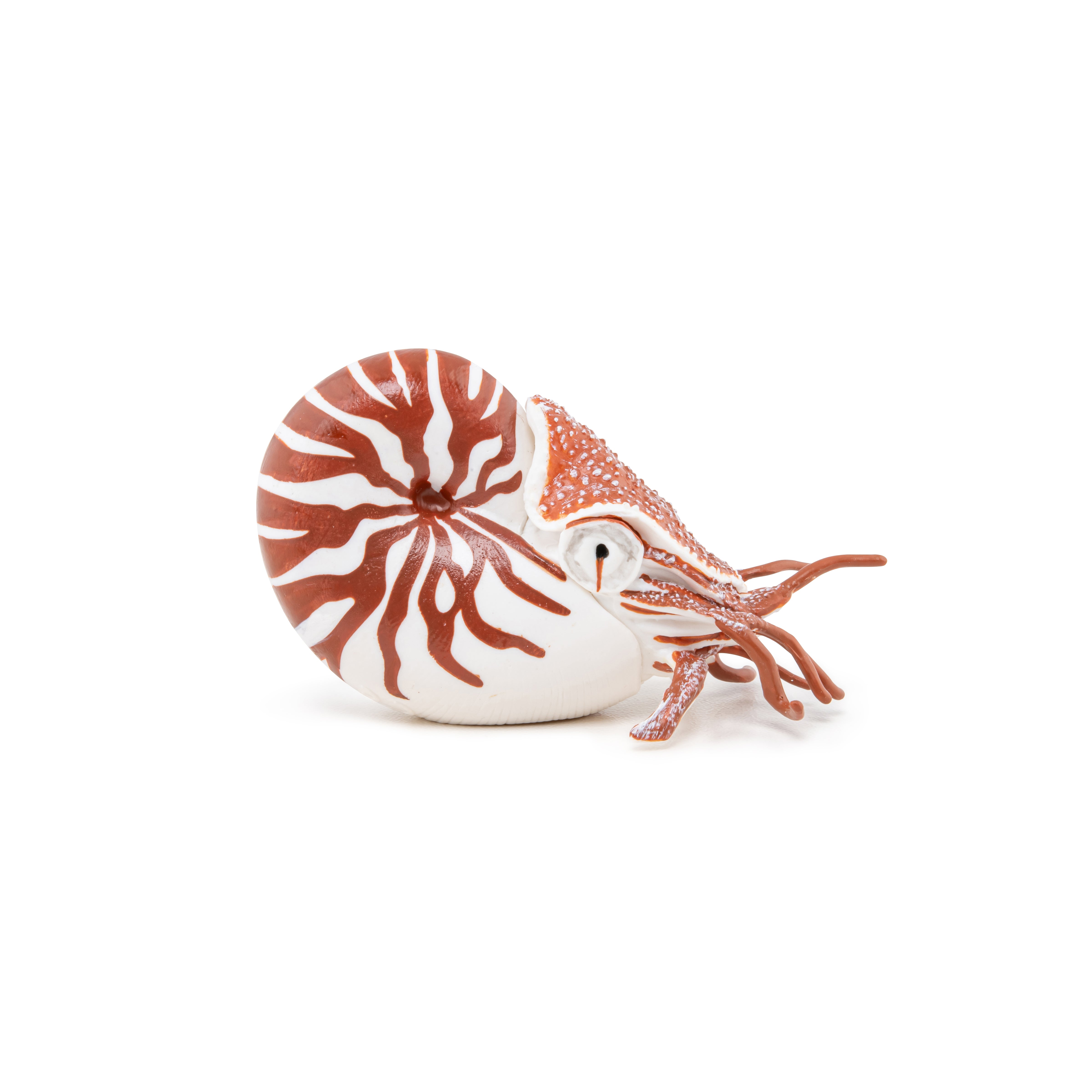 papo-marine-world-nautile-figurine-coquille-spiral-e image 4
