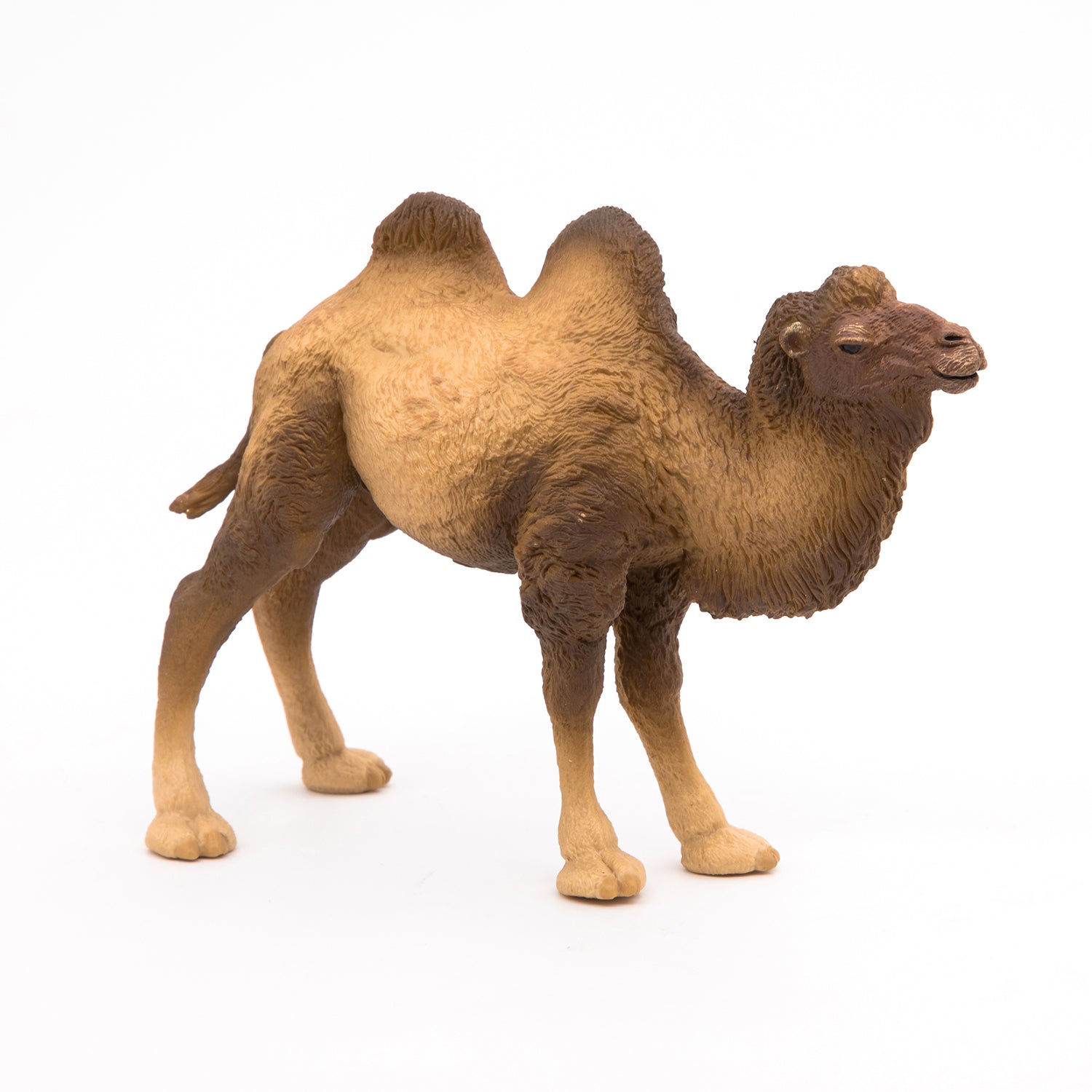 papo-wildlife-chameau-de-bactriane-figurine-d-sert image 1