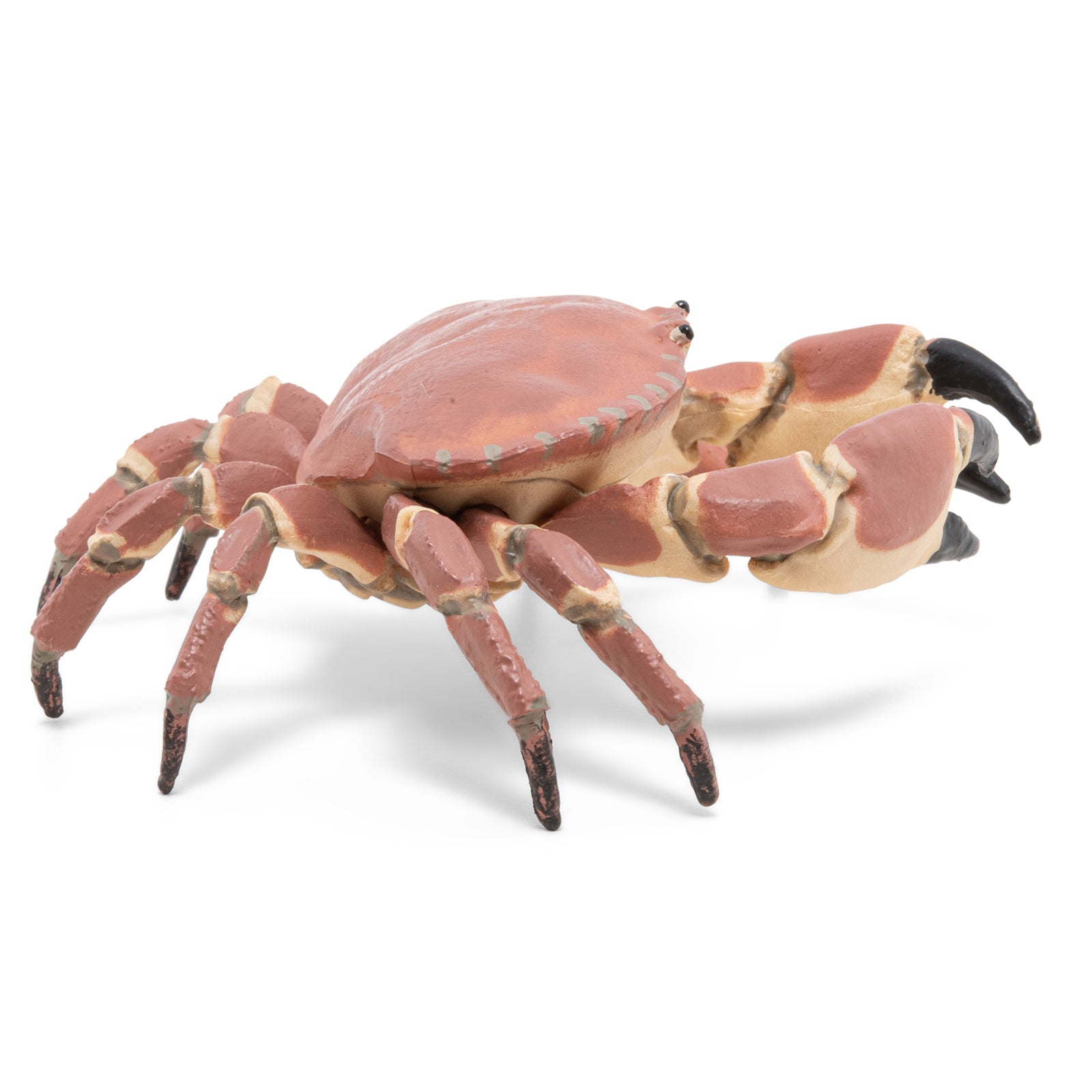 papo-marine-world-crabe-figurine-animal-marin-pinces image 5