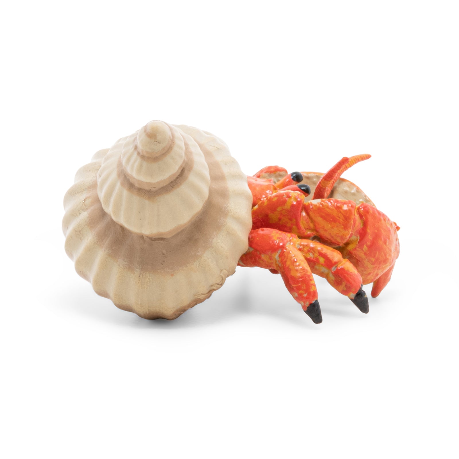 papo-marine-world-bernard-l-hermite-figurine-crabe-coquille image 4