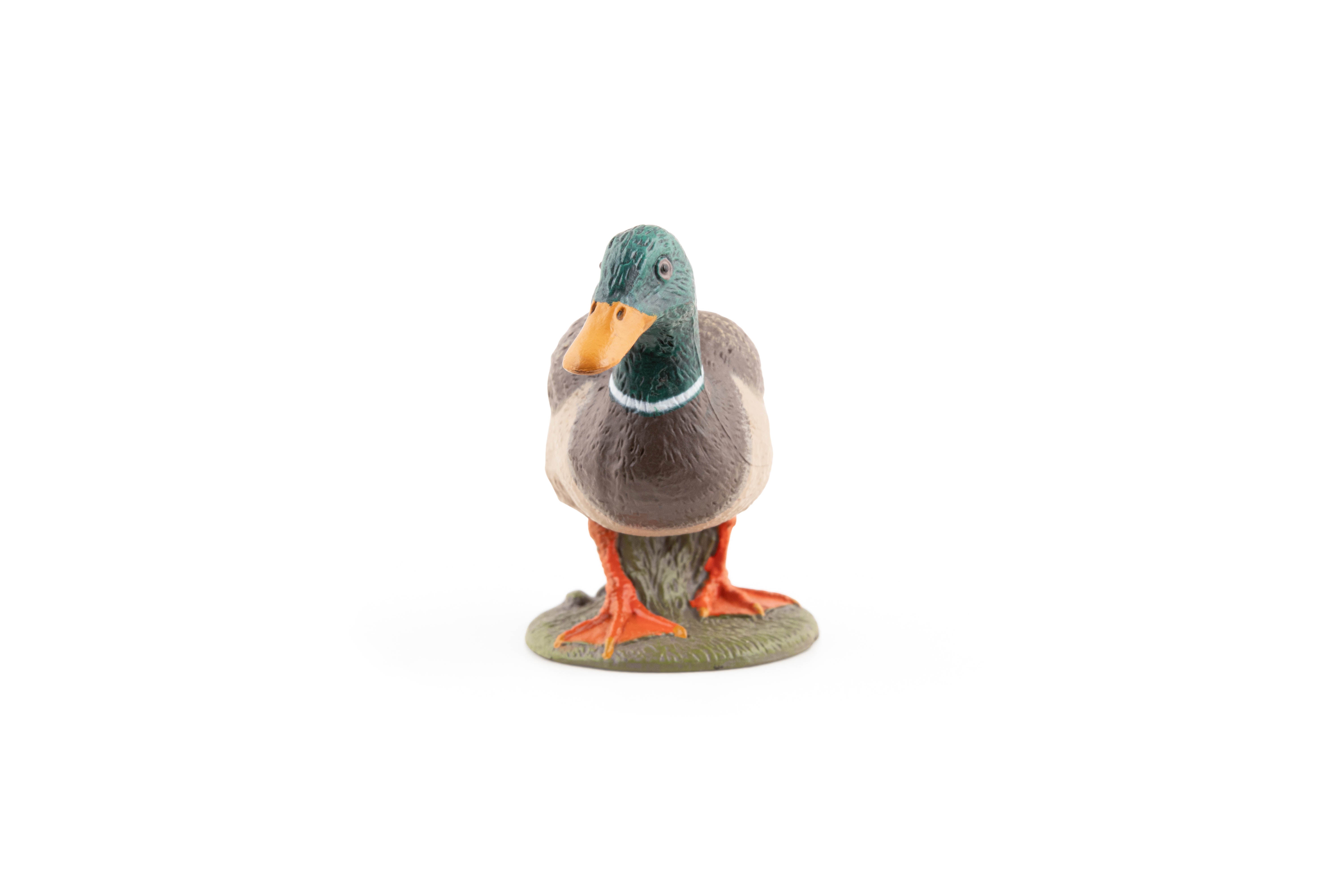 papo-farmyard-friends-canard-colvert-figurine-oiseau-ferme image 4