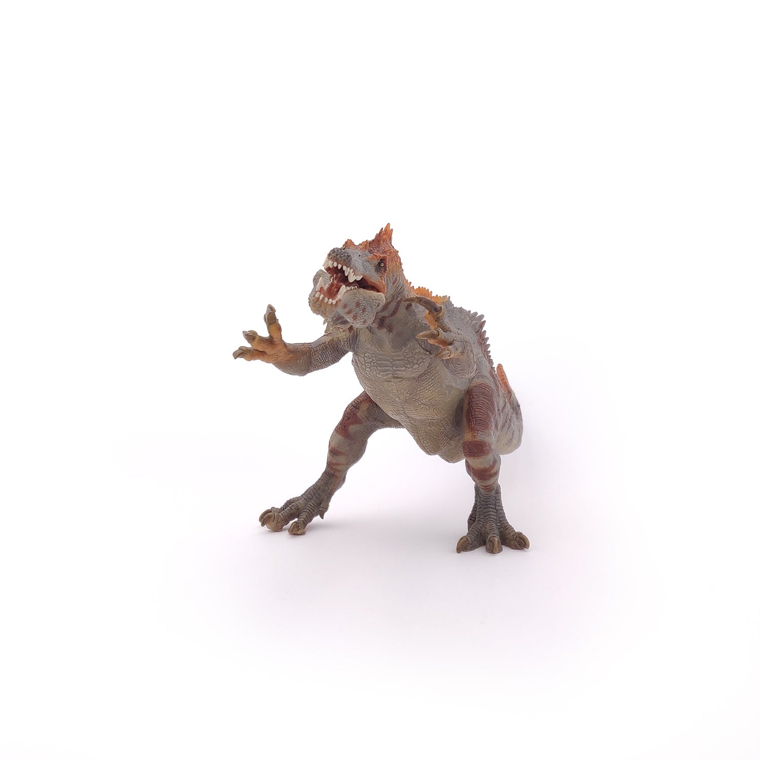 papo-dinosaurs-baryonyx-figurine-dinosaure-carnivore-cr-tac image 7